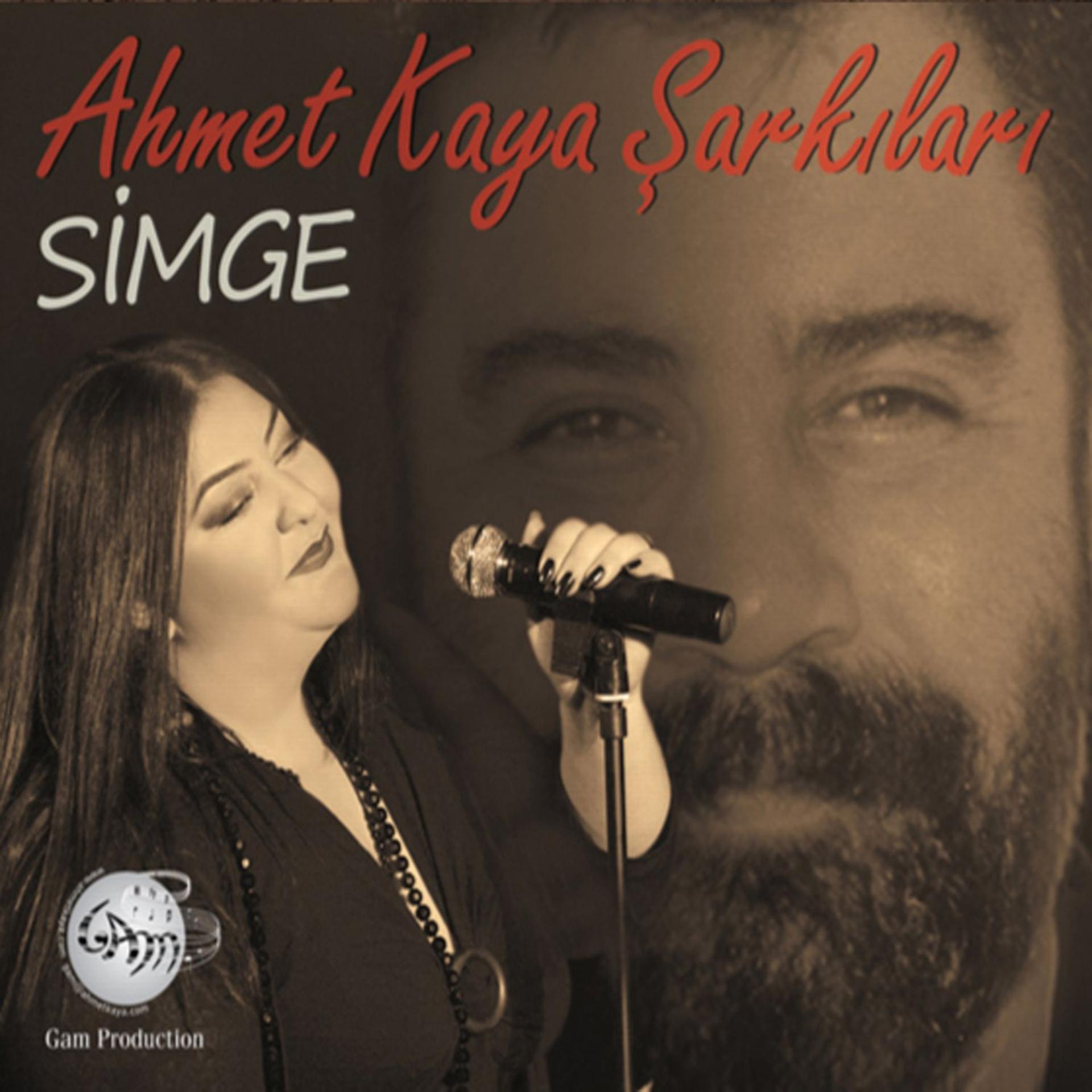 Постер альбома Ahmet Kaya Şarkıları