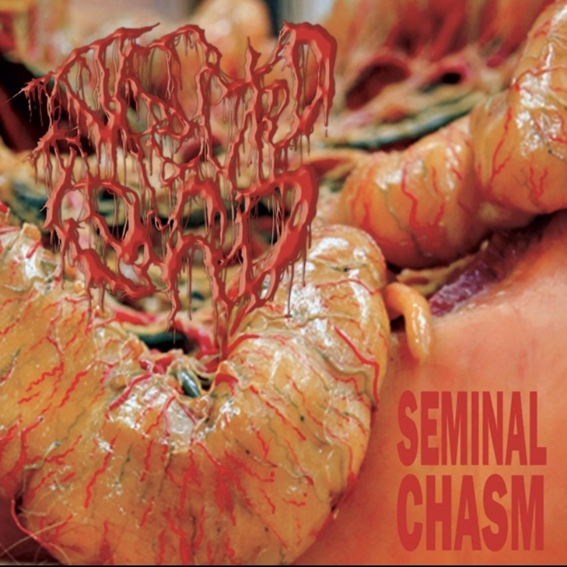 Постер альбома Seminal Chasm