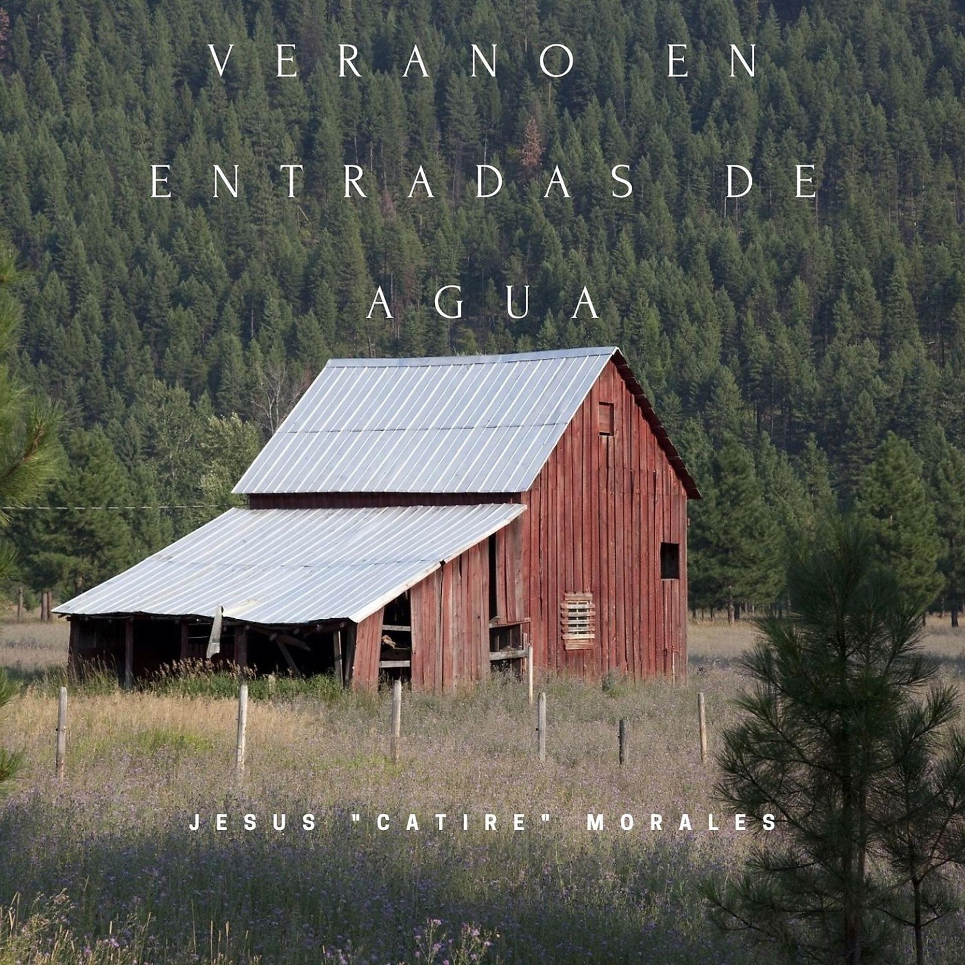Постер альбома Verano en Entradas de Agua