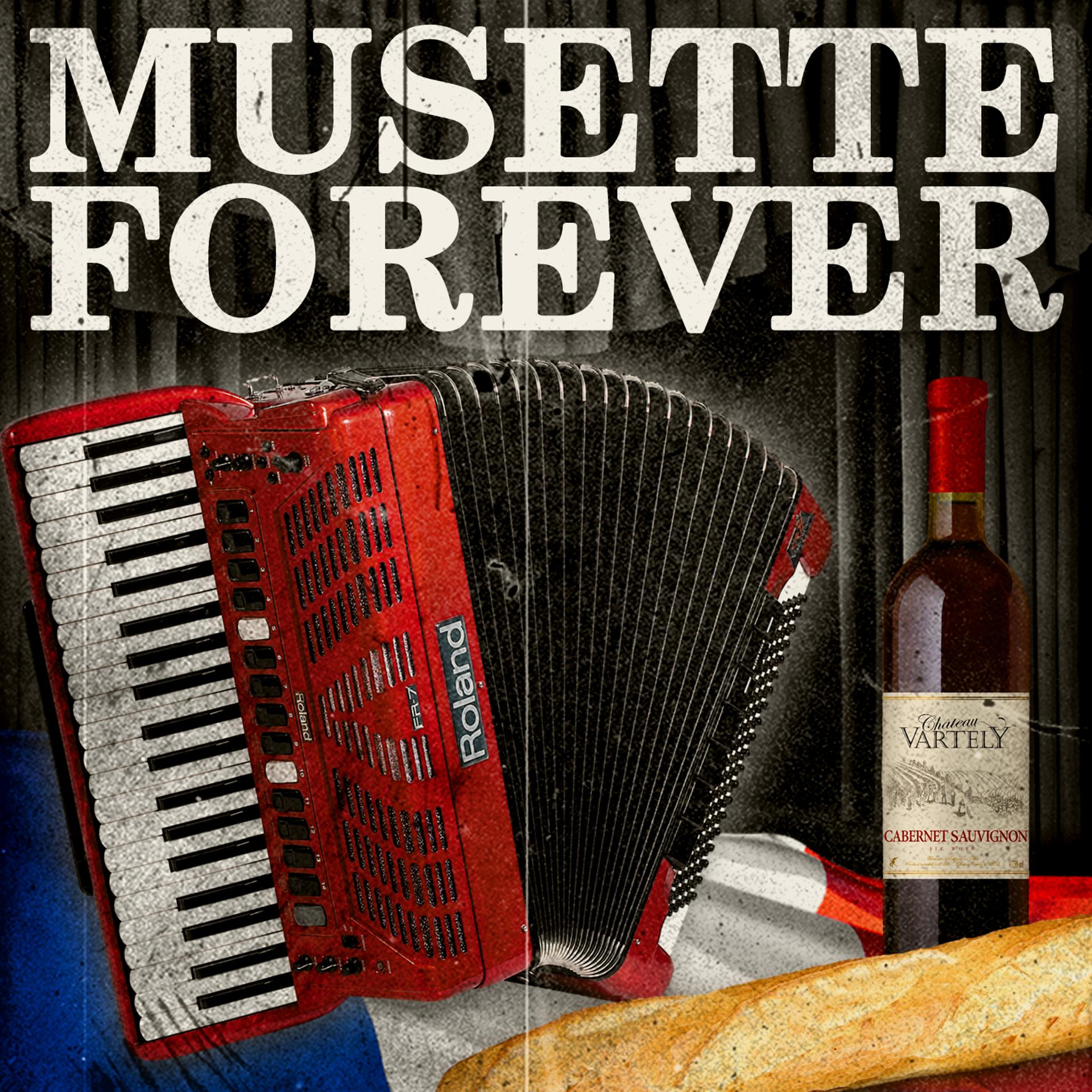 Постер альбома Musette forever: 100 tubes pour danser musette