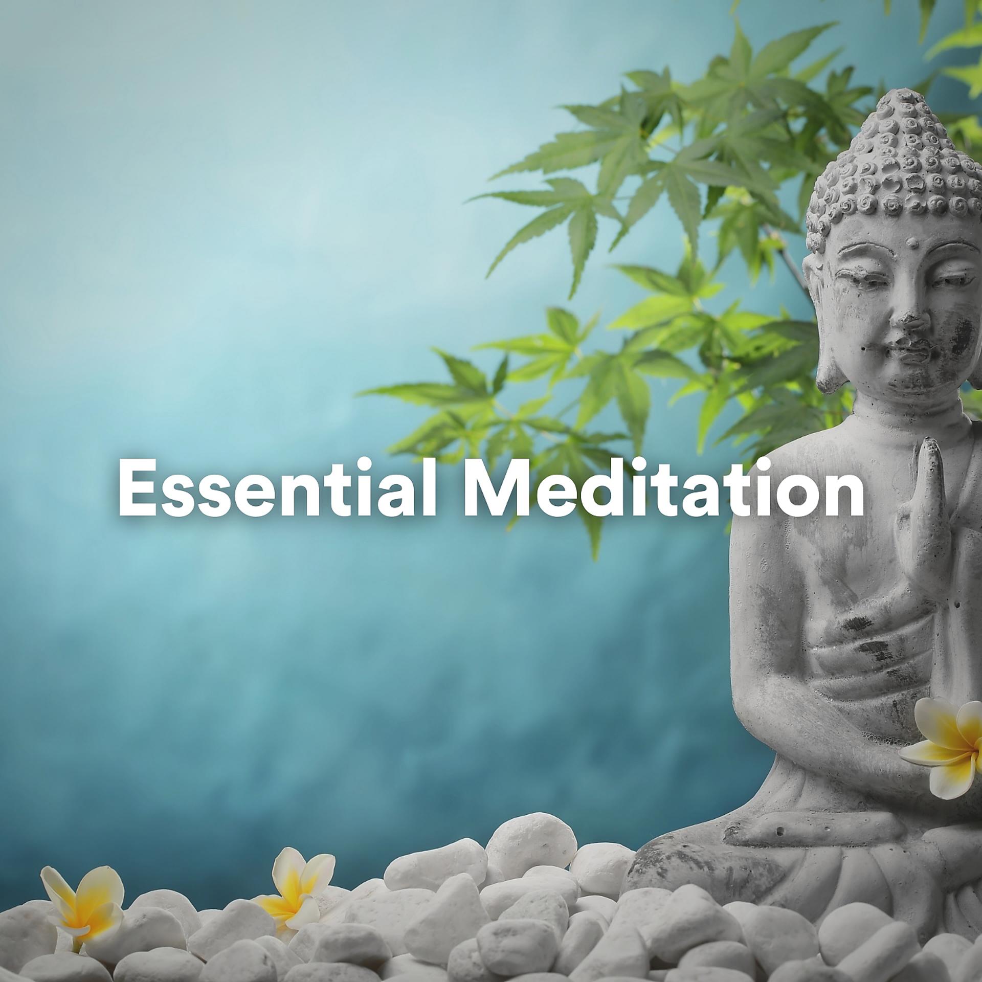 Постер альбома Essential Meditation