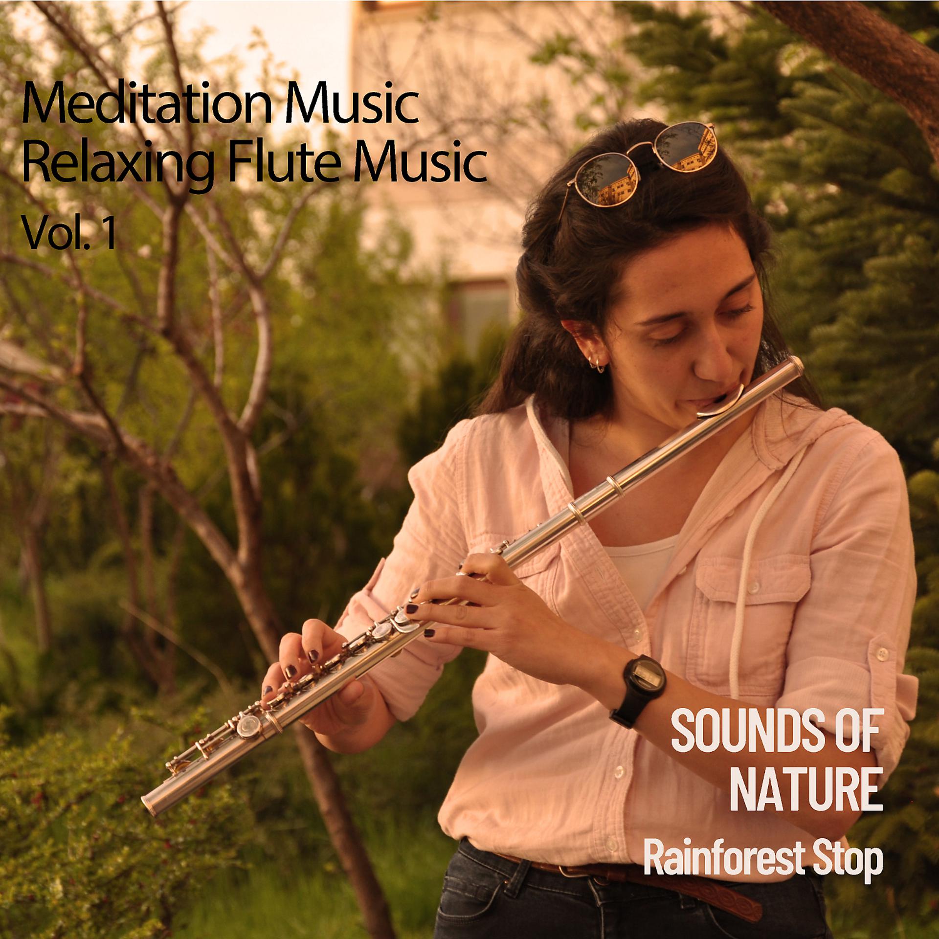 Постер альбома Meditation Music Relaxing Flute Music Vol. 1
