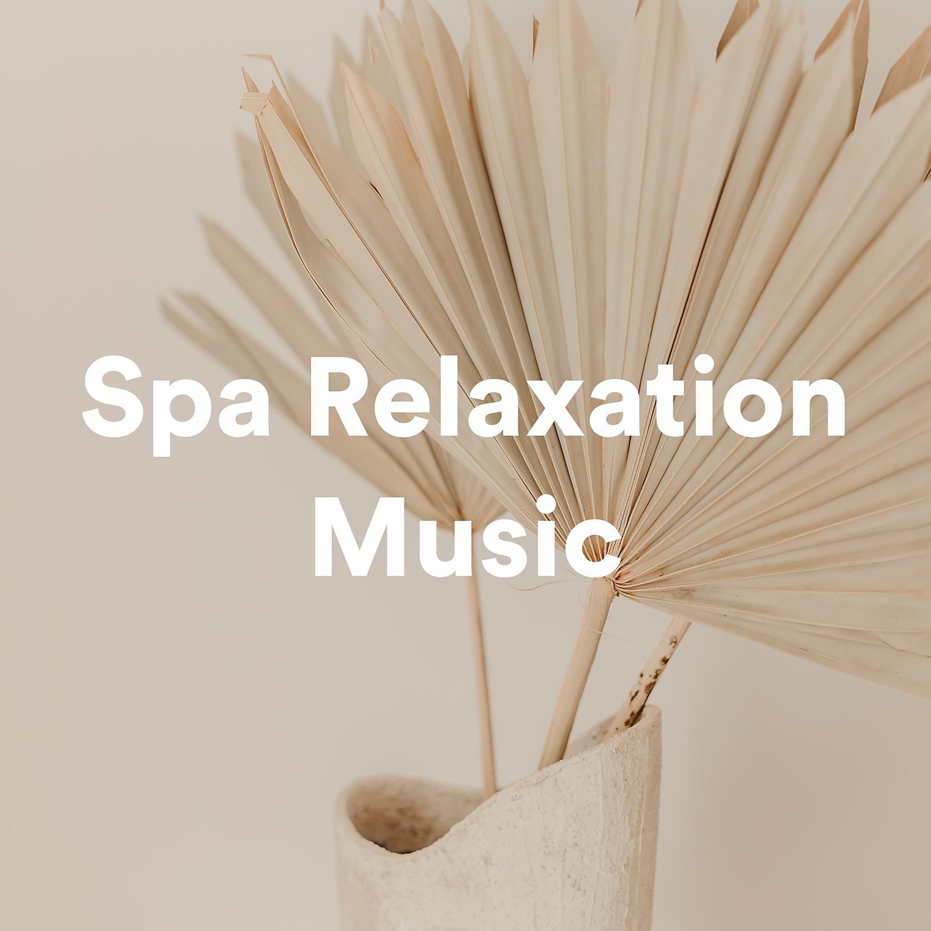Постер альбома Spa Relaxation Music