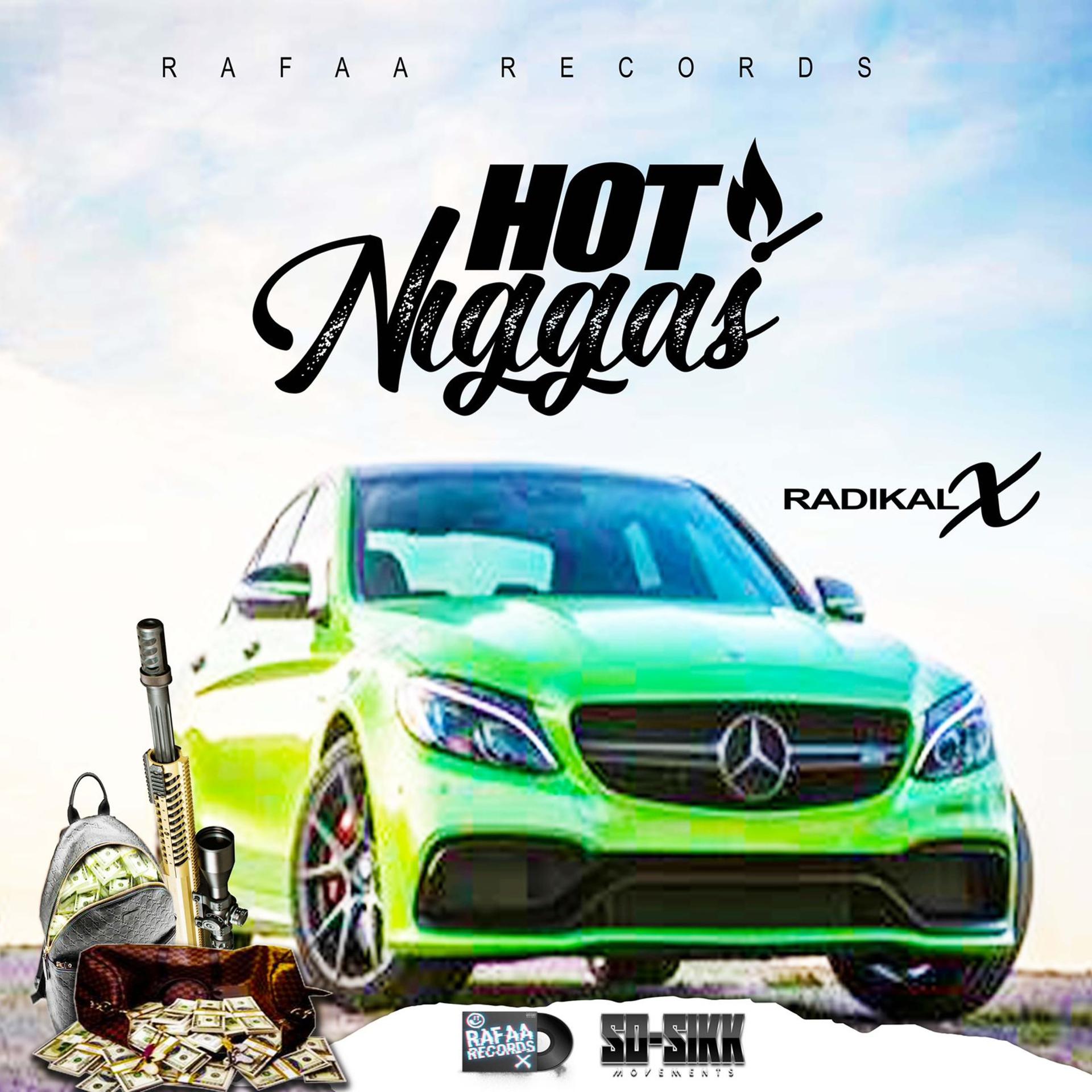 Постер альбома Hot Niggas