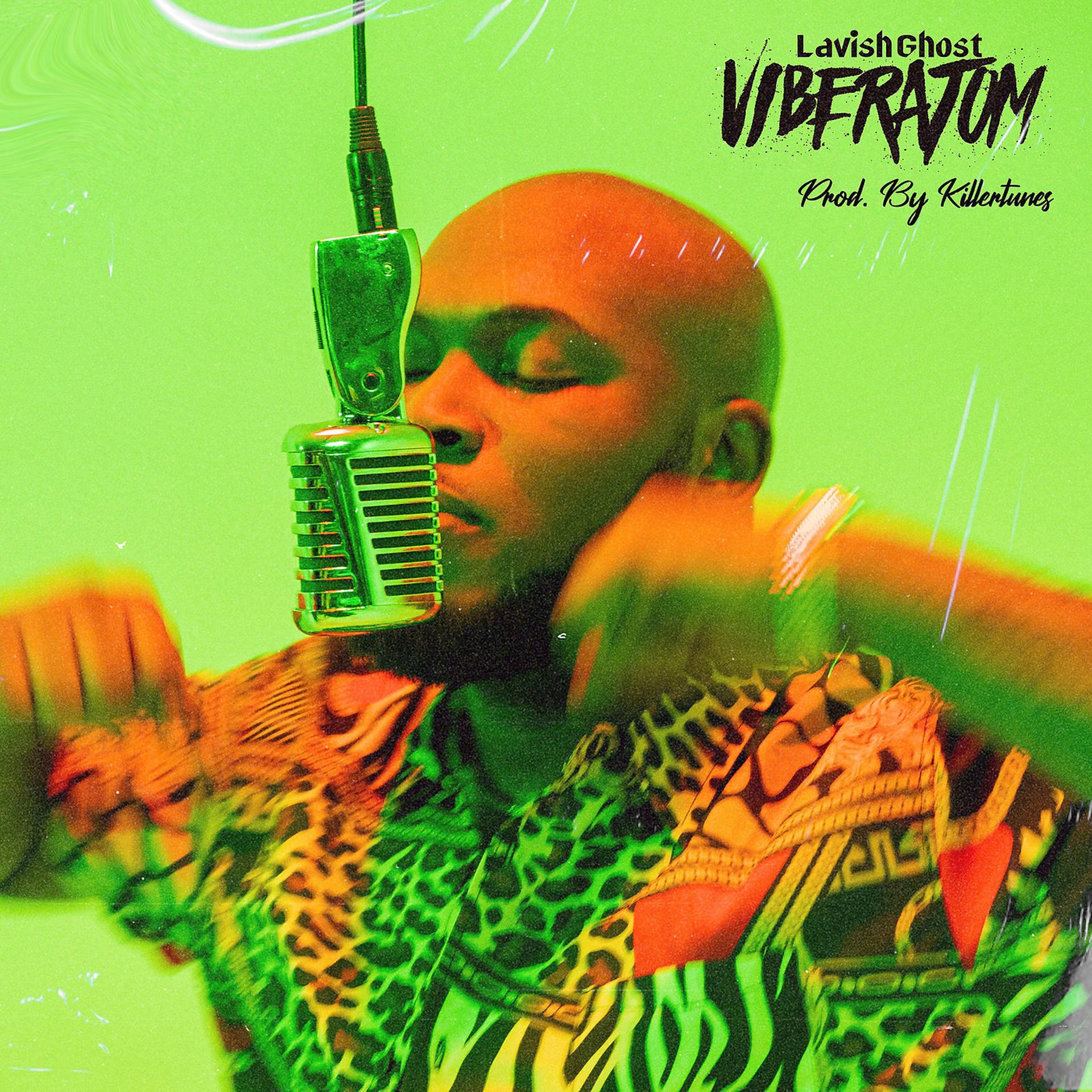 Постер альбома VibeRatom