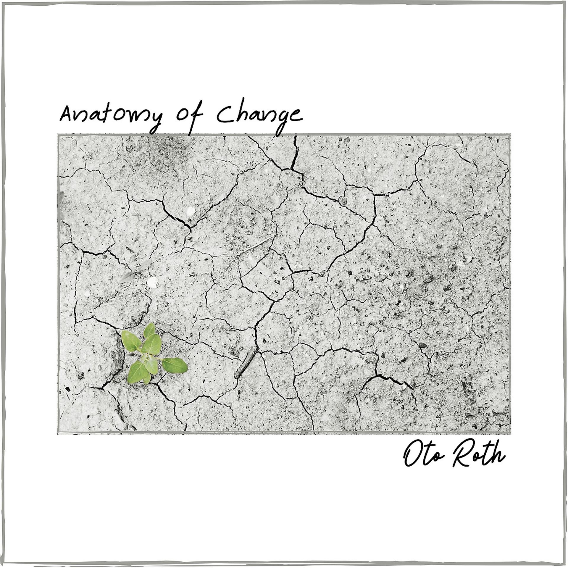 Постер альбома Anatomy of Change