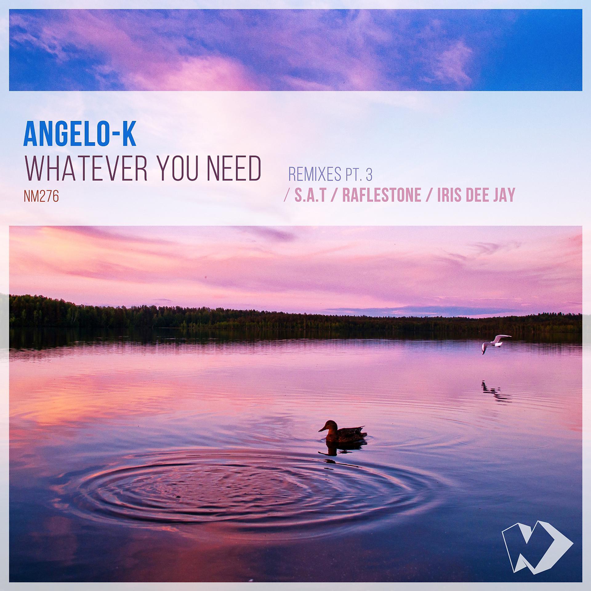 Постер альбома Whatever You Need: Remixes, Pt. 3