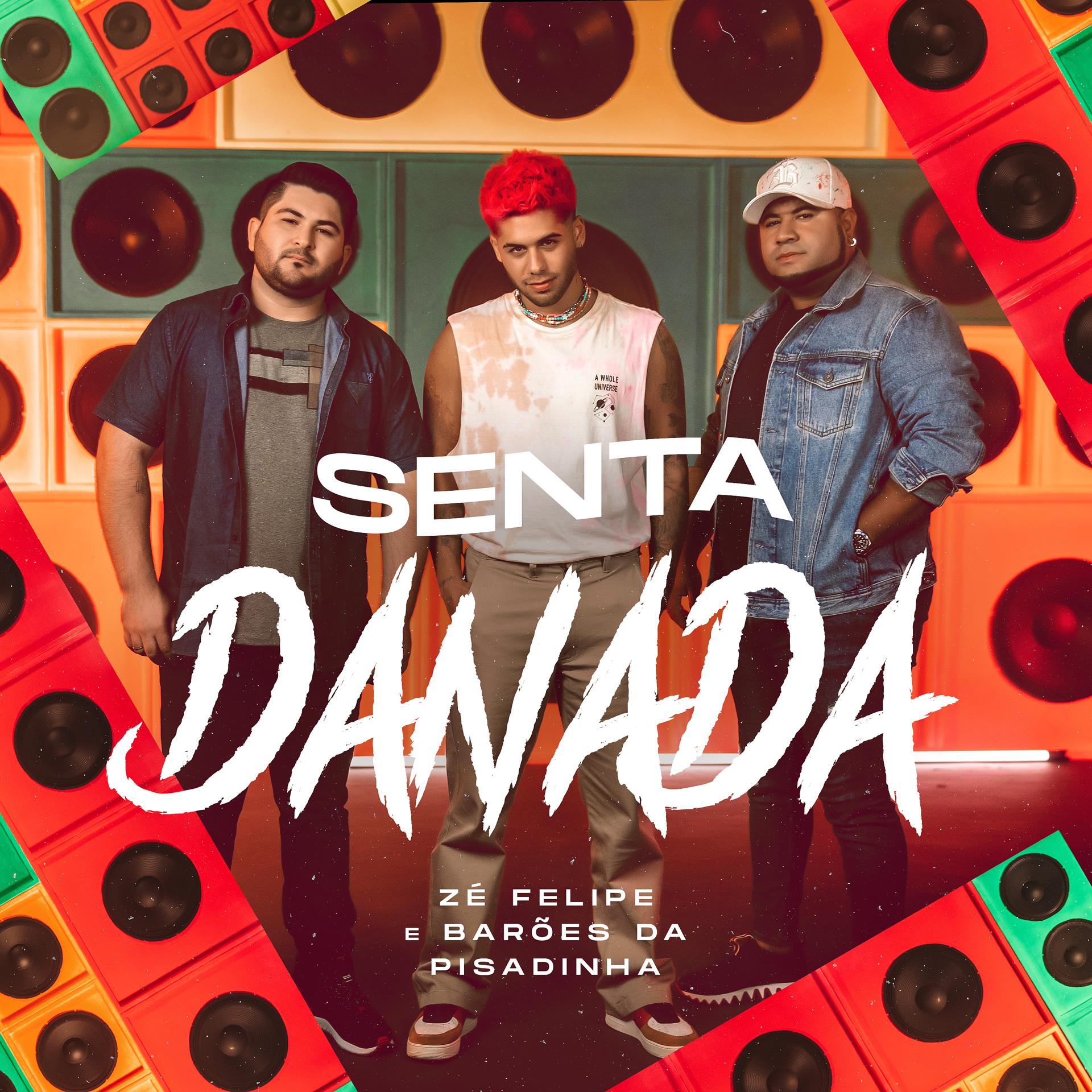 Постер альбома Senta Danada