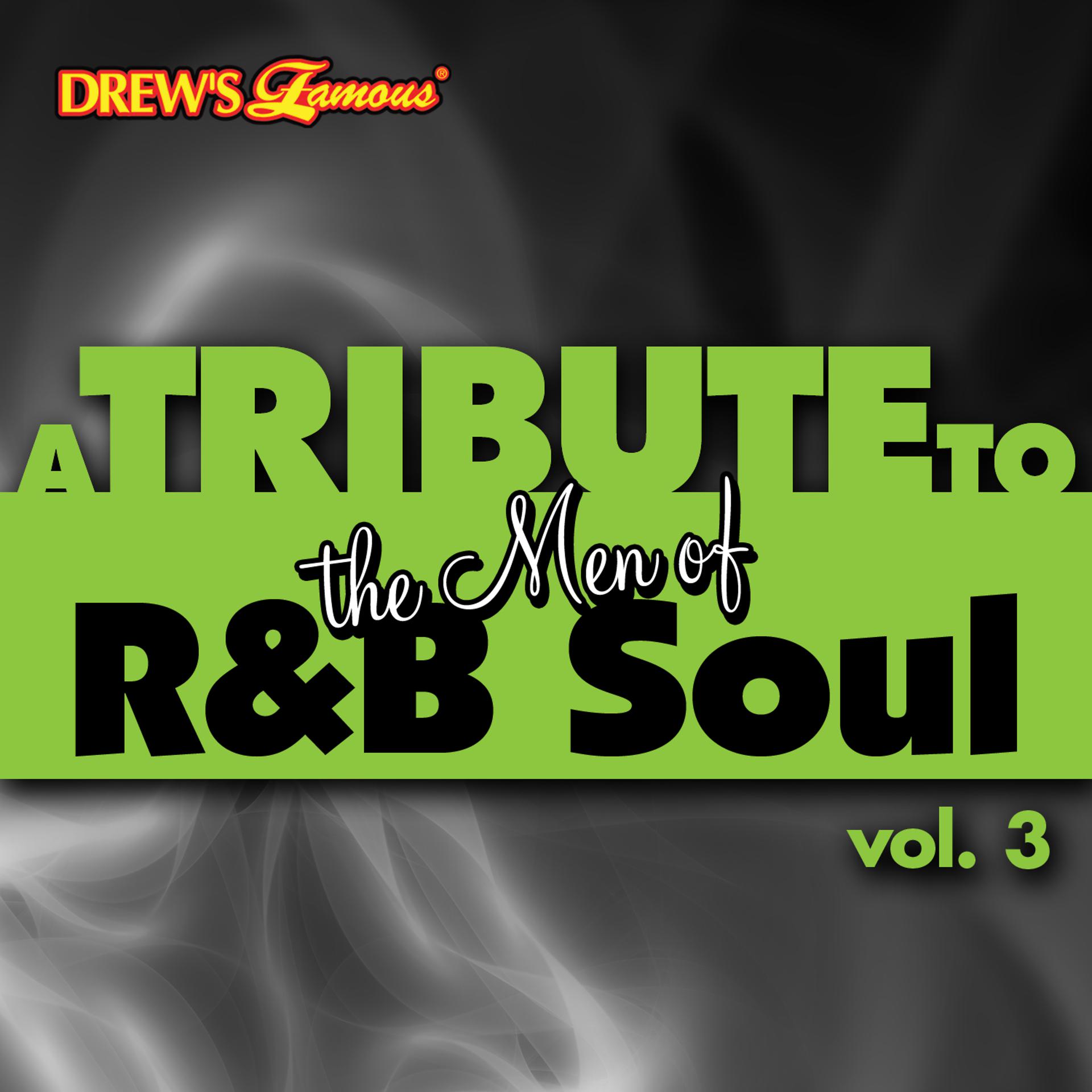 Постер альбома A Tribute to the Men of R&B Soul, Vol. 3