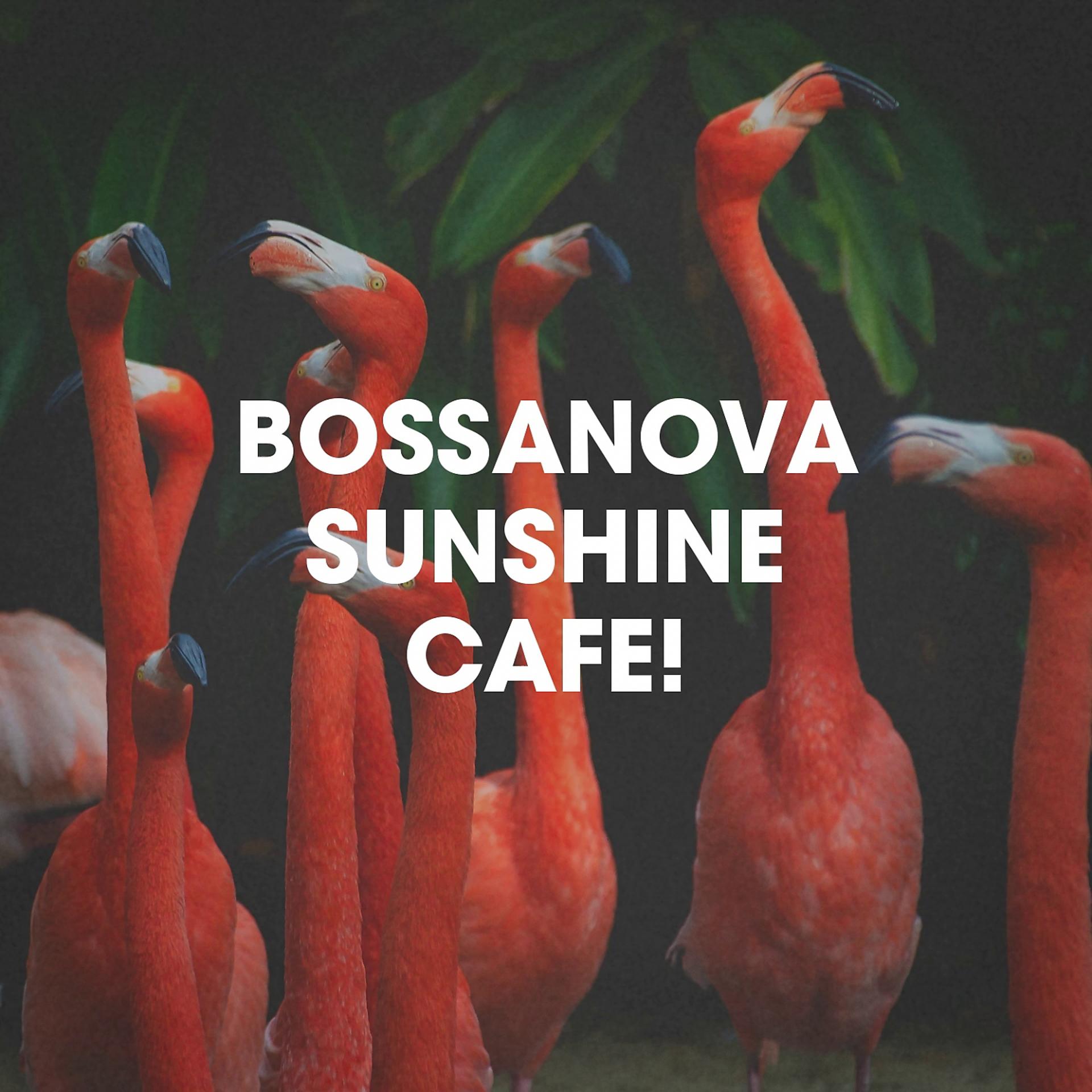 Постер альбома Bossanova Sunshine Cafe!