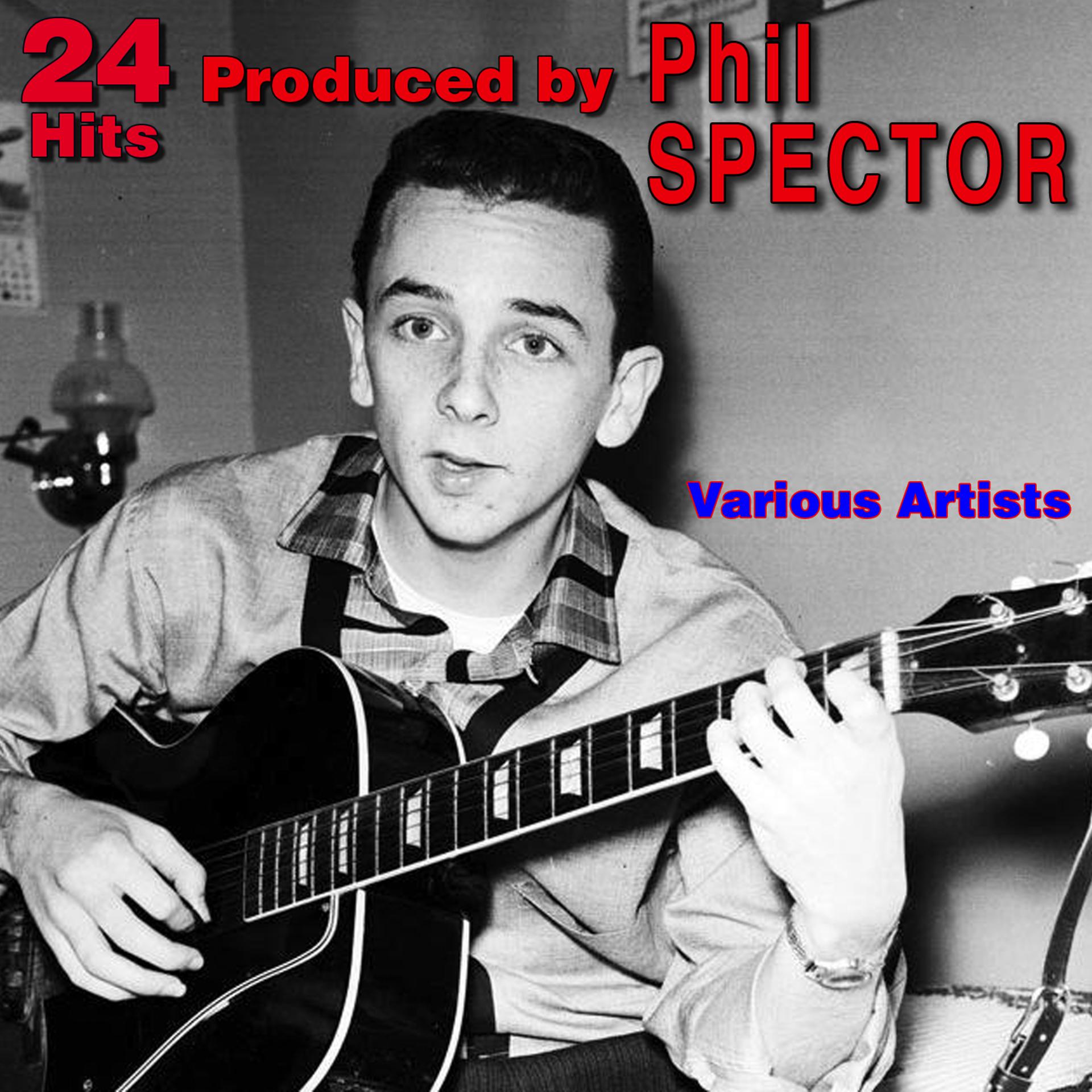 Постер альбома 24 Hits Produced By Phil Spector
