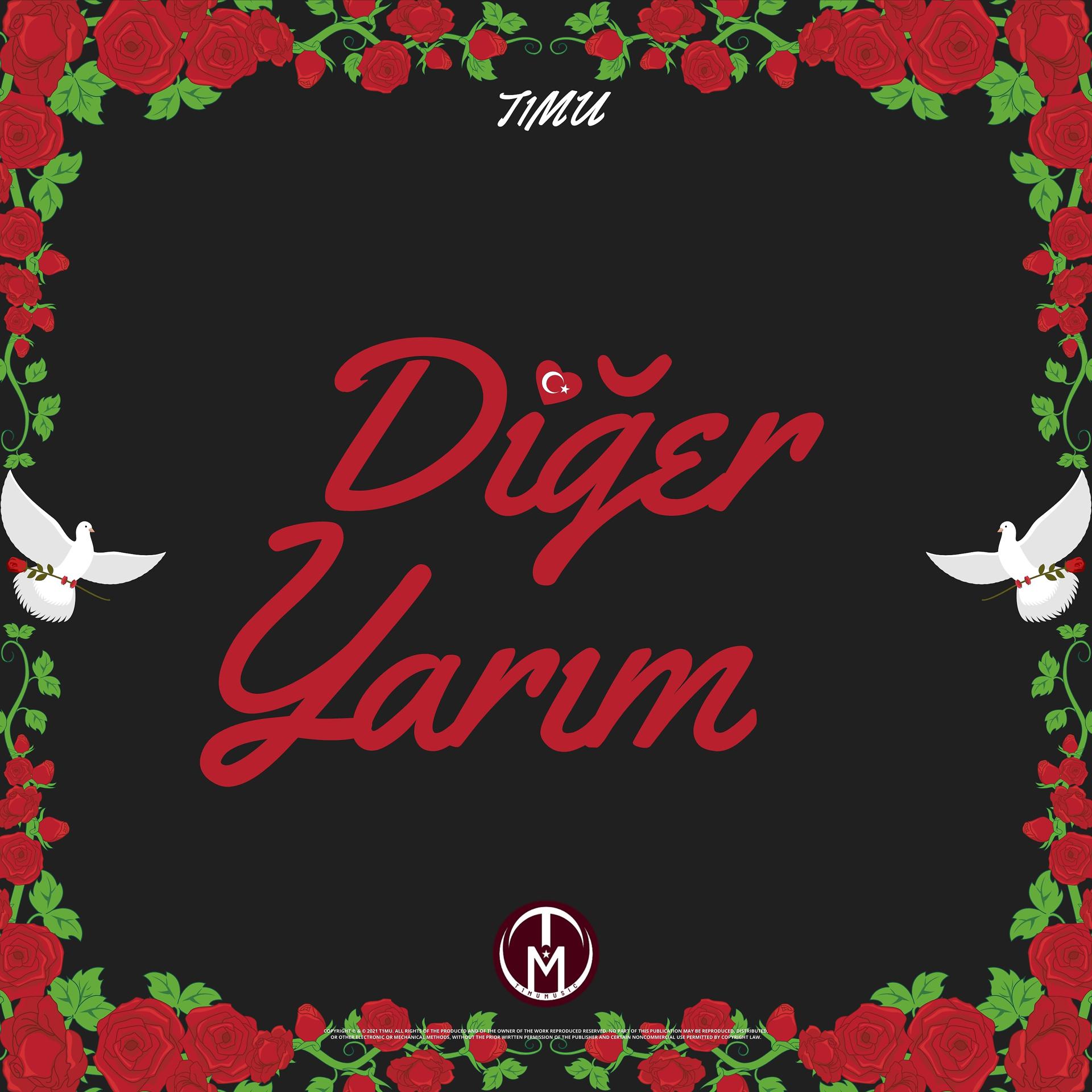 Постер альбома DIGER YARIM