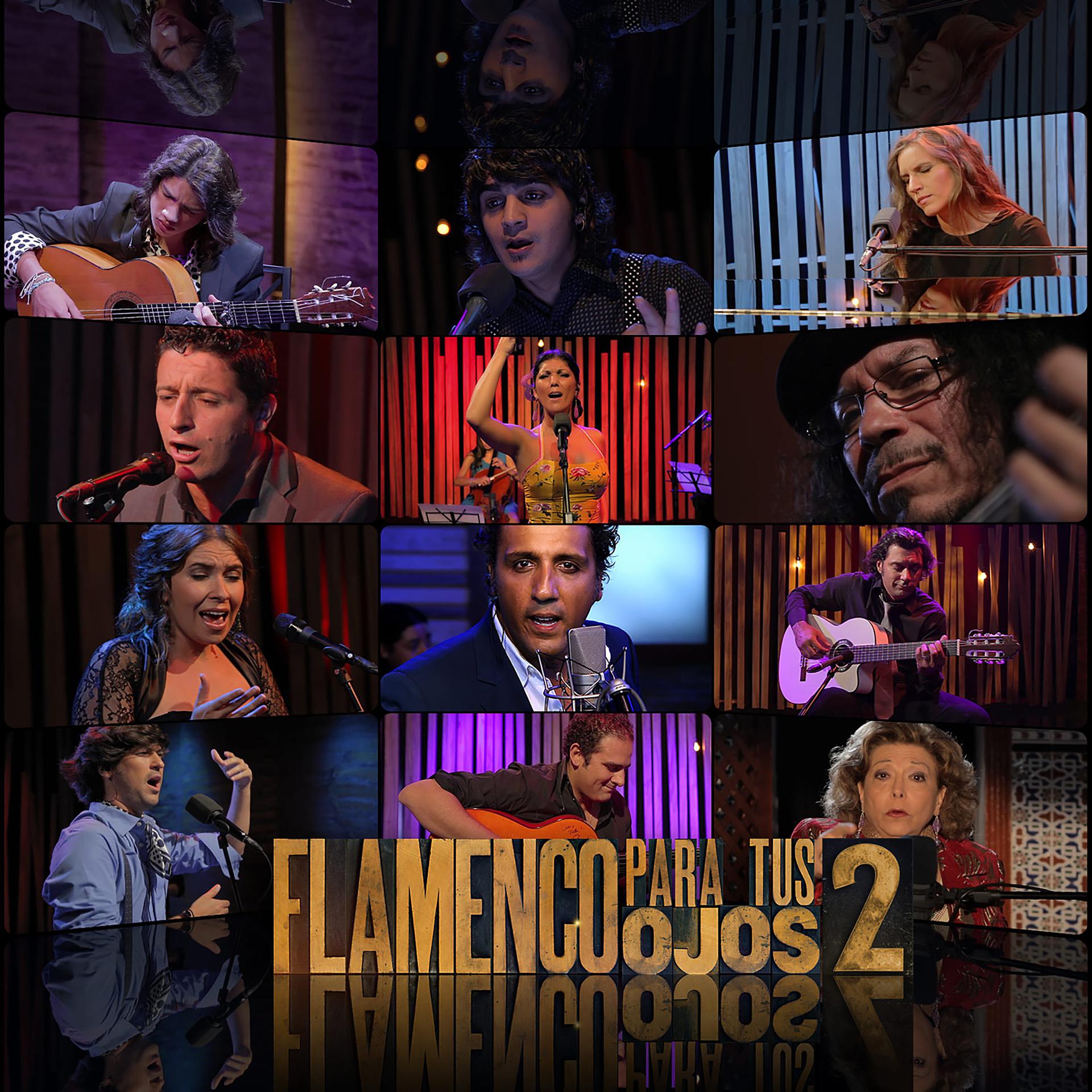Постер альбома Flamenco para tus ojos, Vol. 2