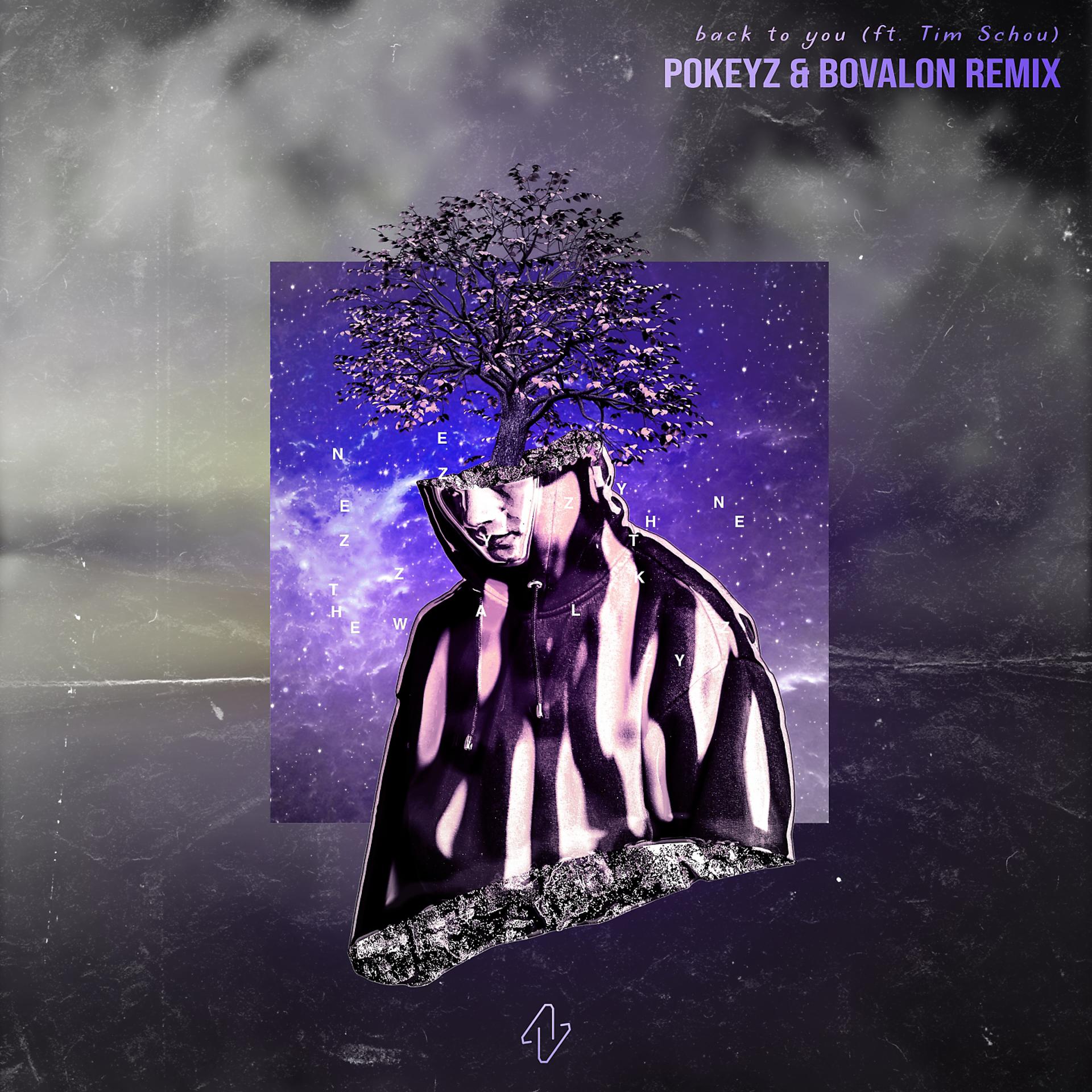 Постер альбома Back to You (Pokeyz & Bovalon Remix) [Radio Edit]