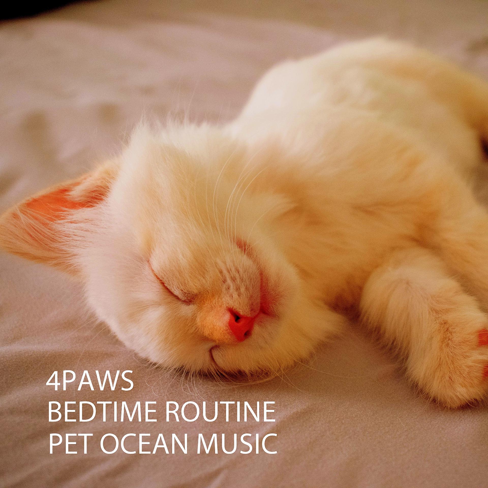 Постер альбома 4PAWS: Bedtime Routine Pet Ocean Music