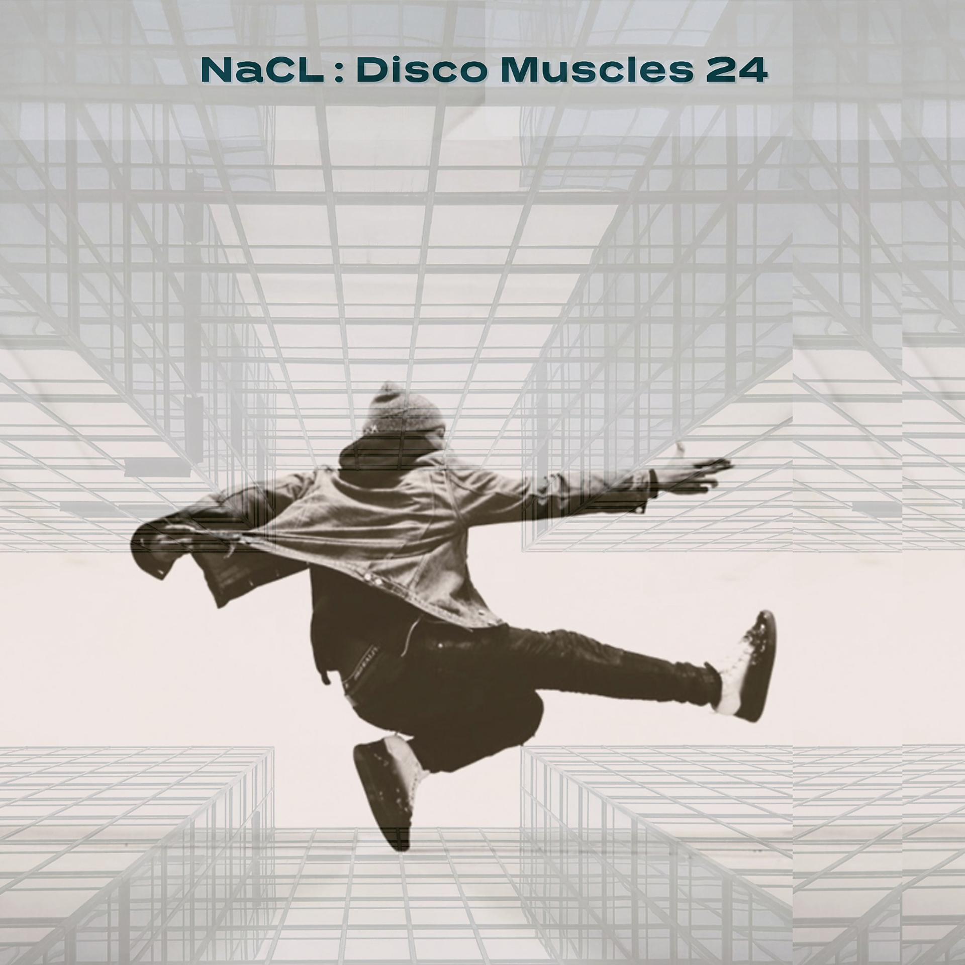 Постер альбома Disco Muscles 24 (Nick Salter Remix)