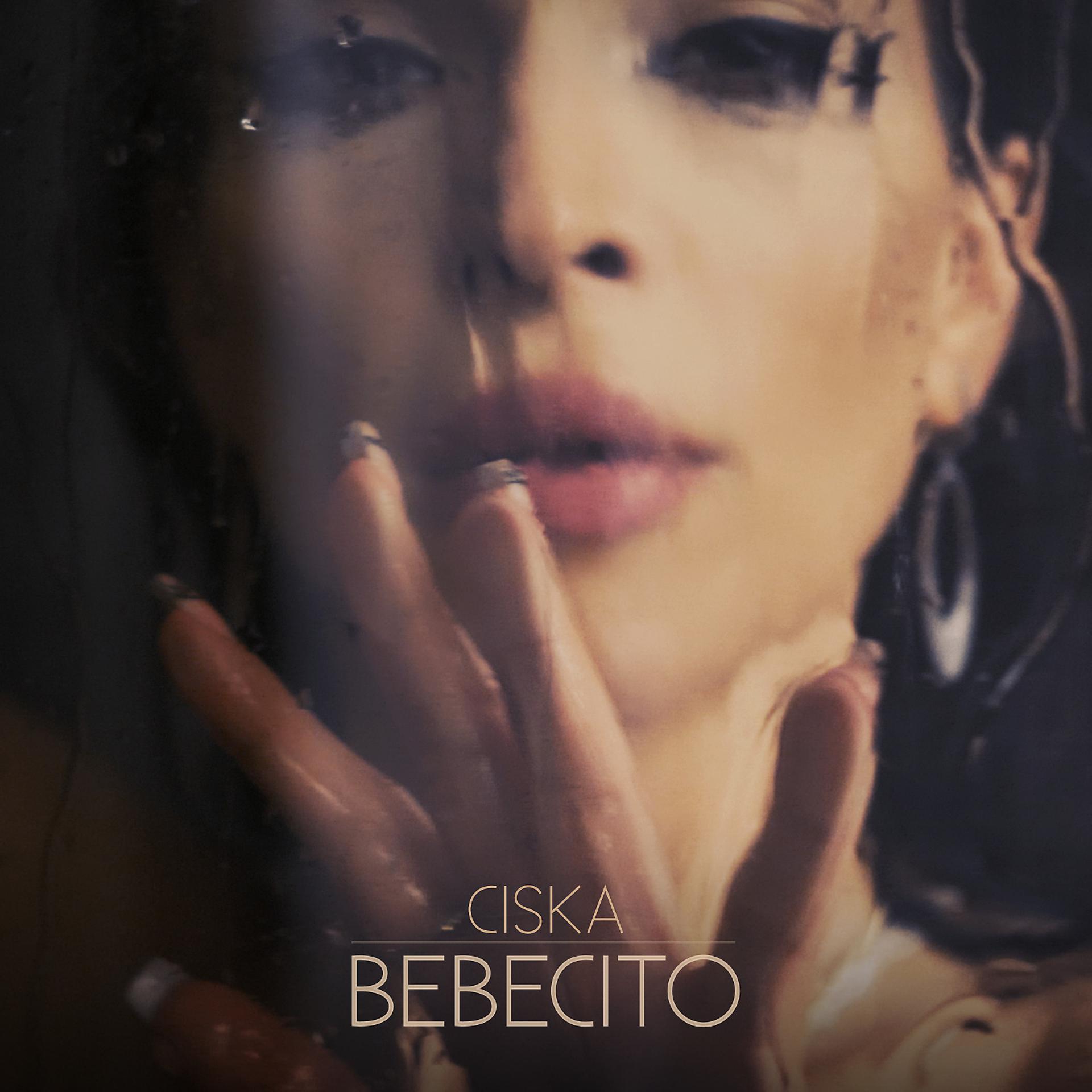 Постер альбома Bebecito