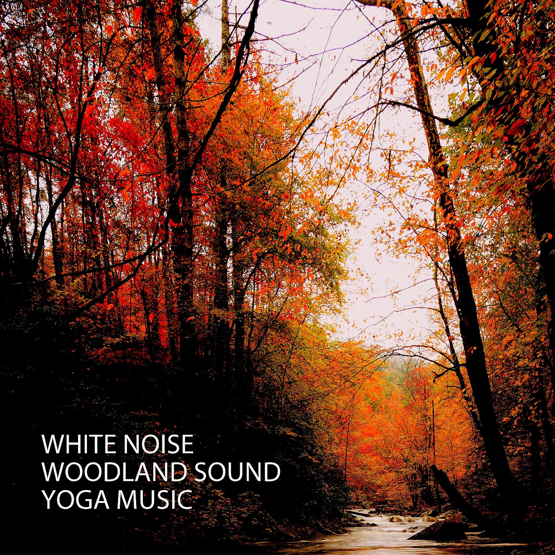 Постер альбома White Noise: Woodland Sound Yoga Music