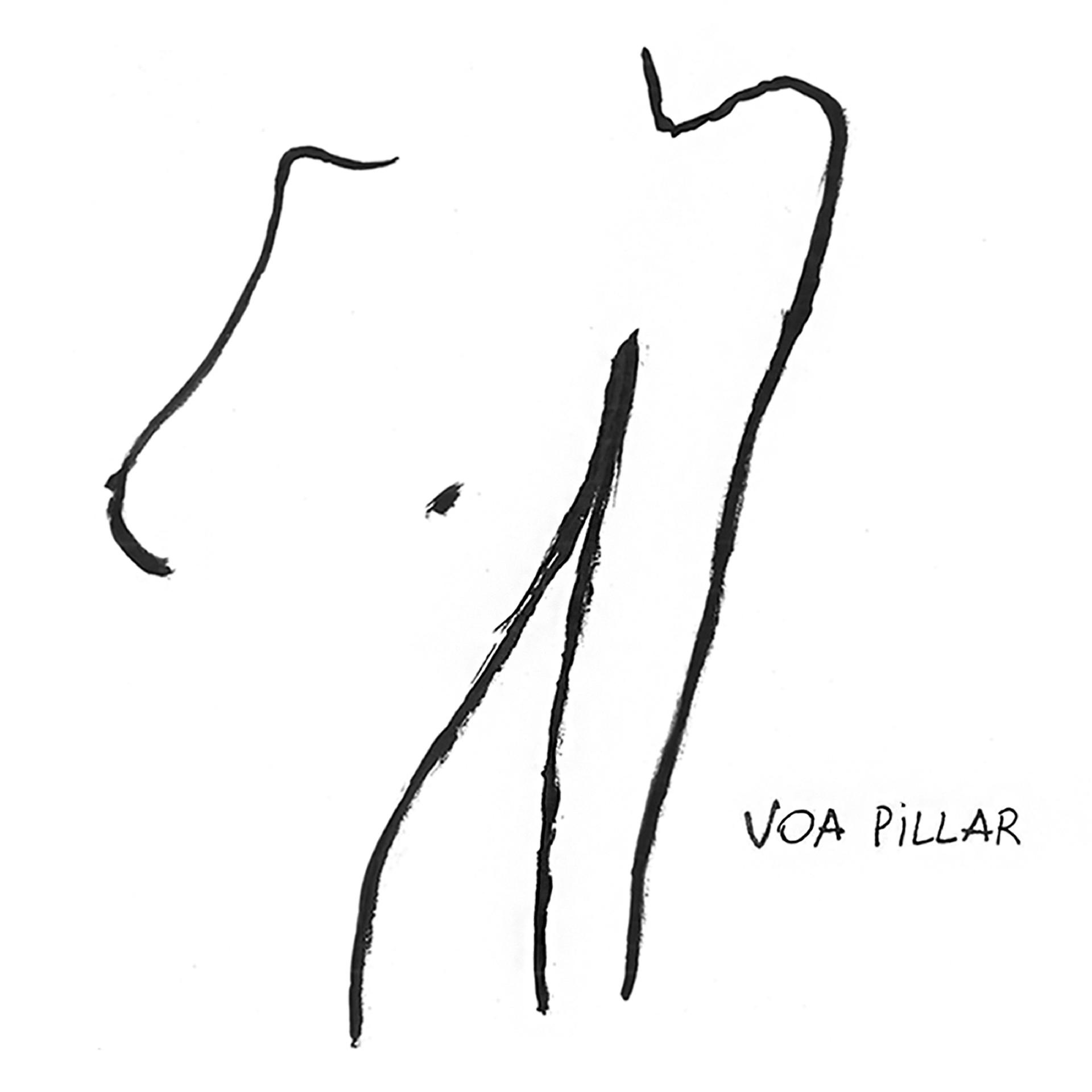 Постер альбома Voa Pillar