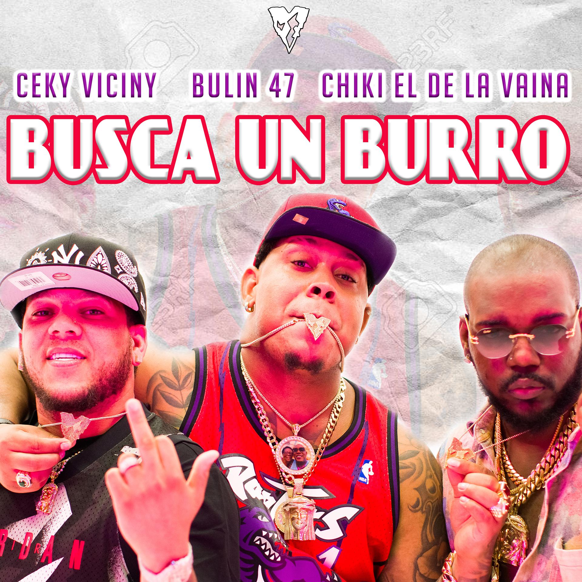 Постер альбома Busca un Burro
