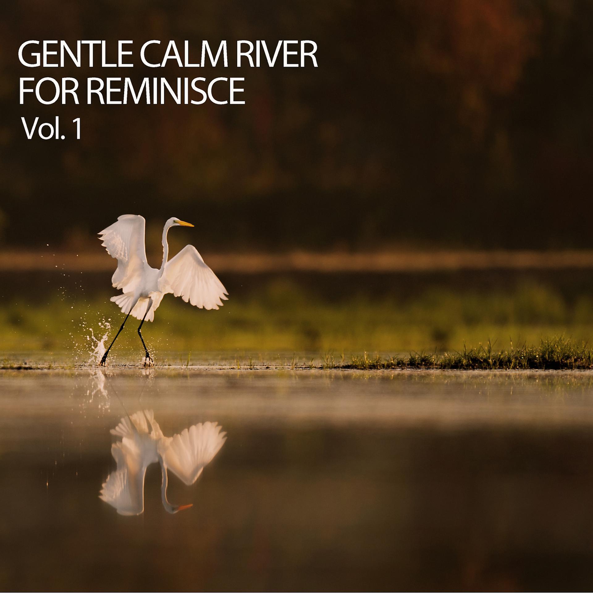 Постер альбома Gentle Calm River For Reminisce Vol. 1