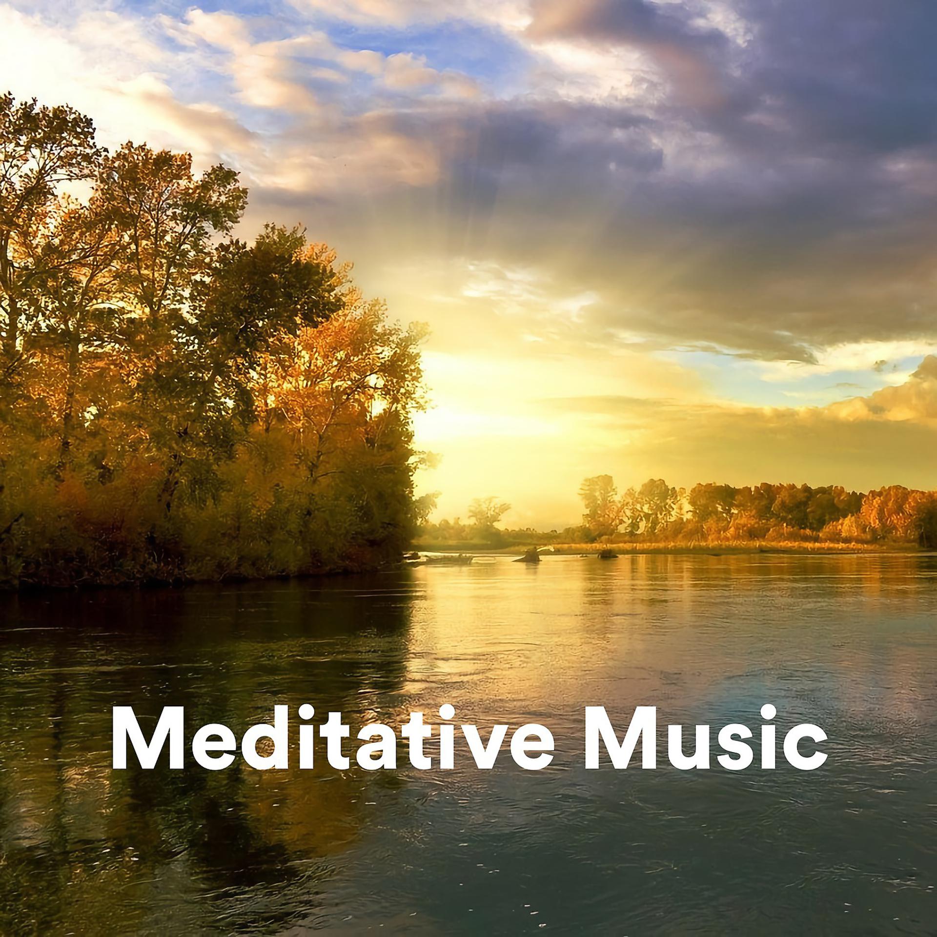 Постер альбома Meditative Music