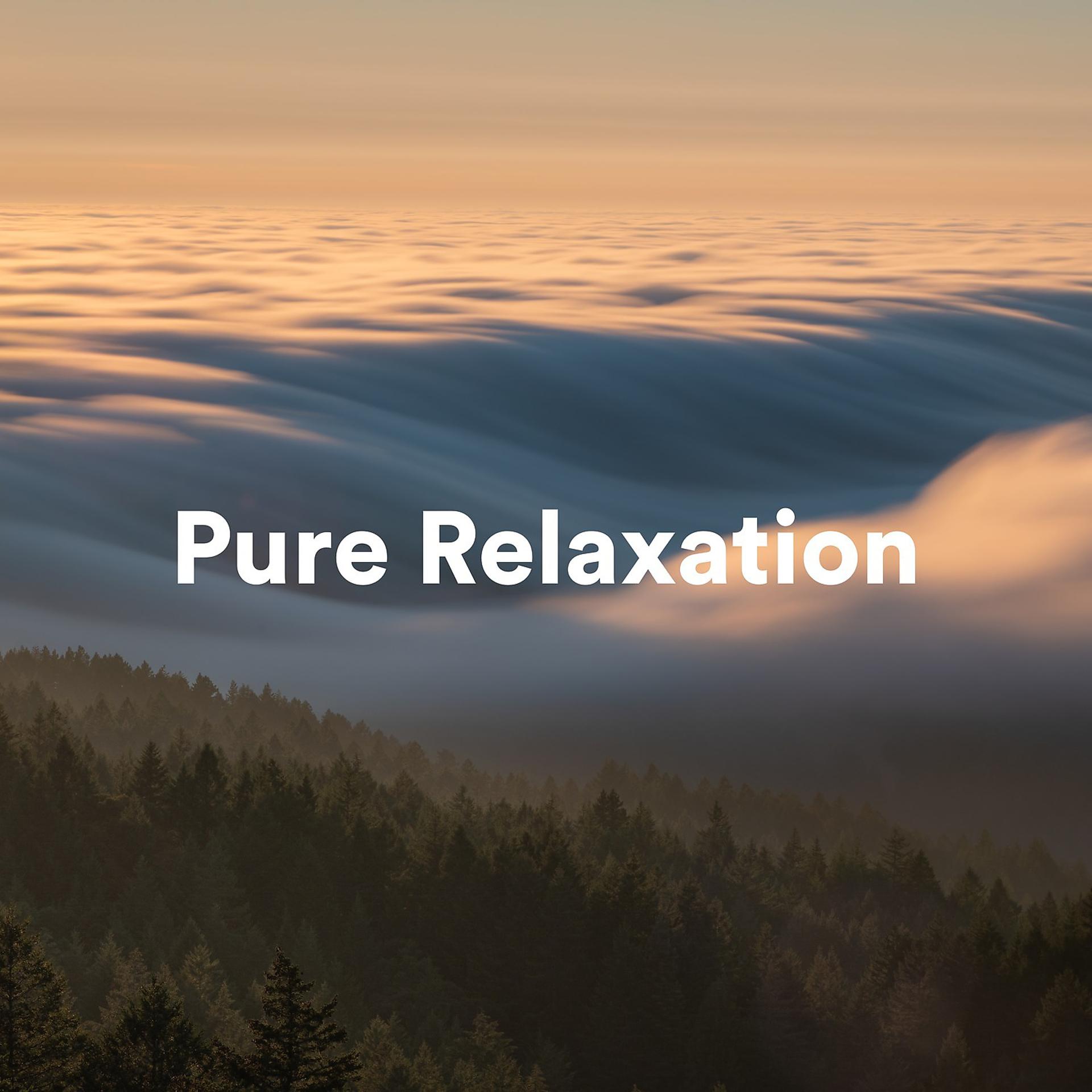 Постер альбома Pure Relaxation