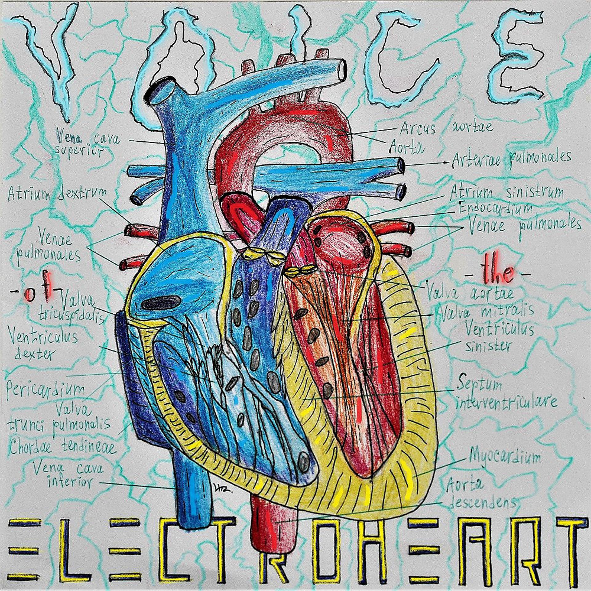 Постер альбома Voice of the Electroheart