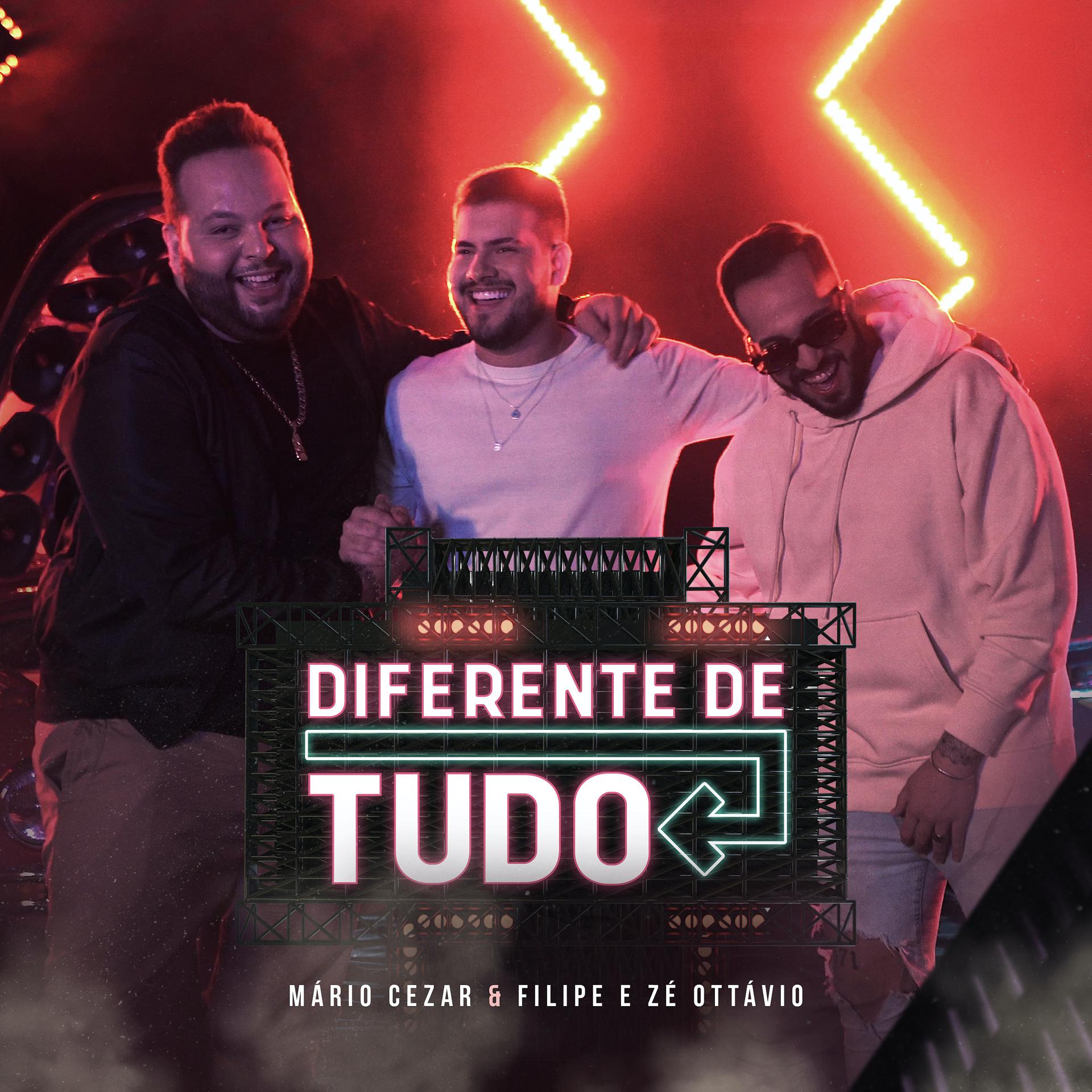 Постер альбома Diferente de Tudo