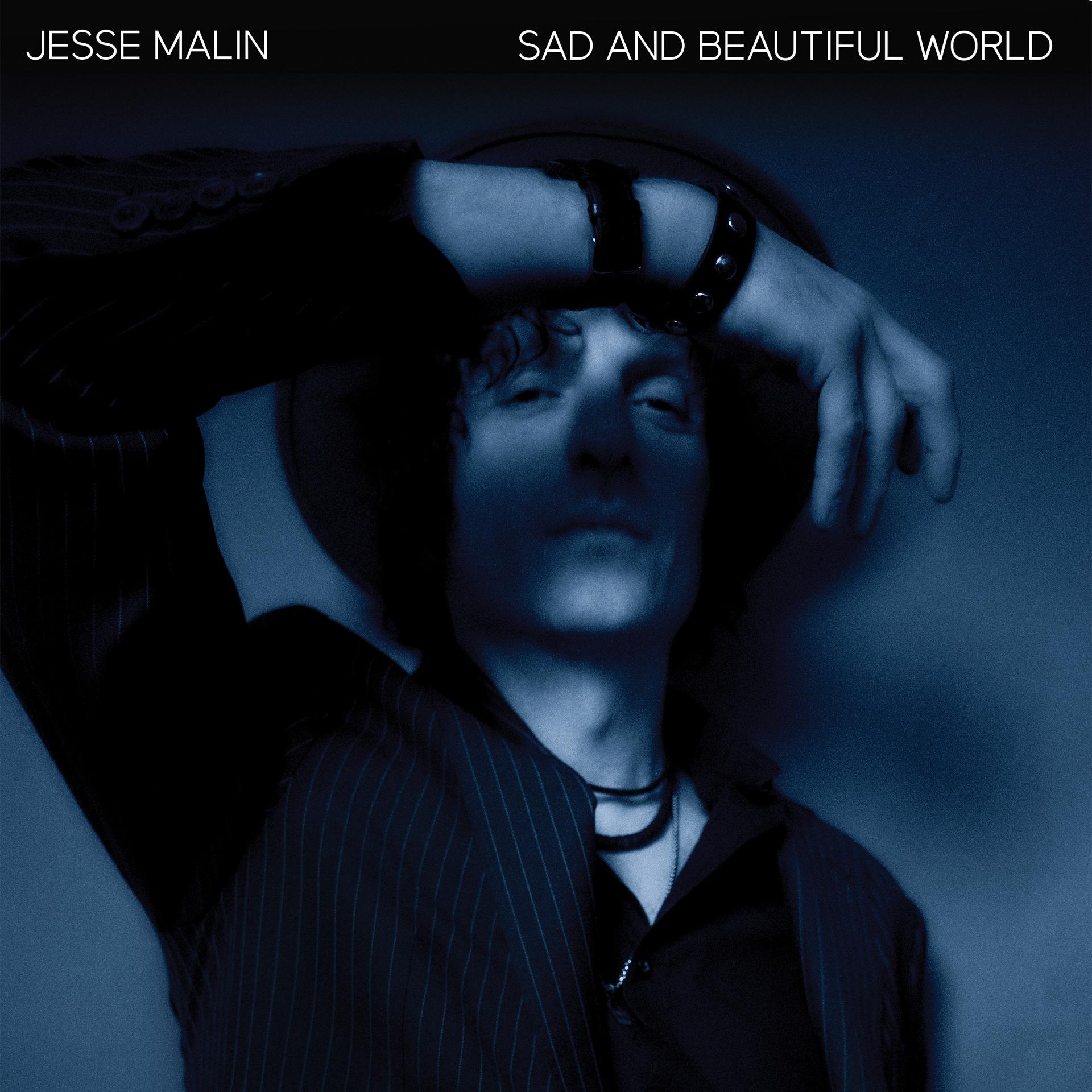 Постер альбома Sad and Beautiful World