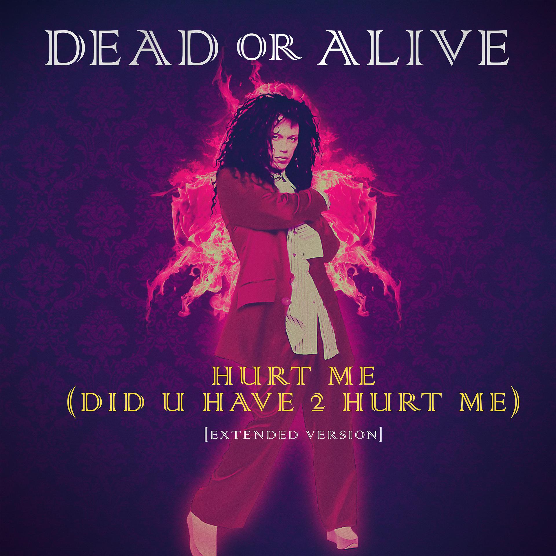Постер альбома Hurt Me (Did U Have 2 Hurt Me) (Extended Version)