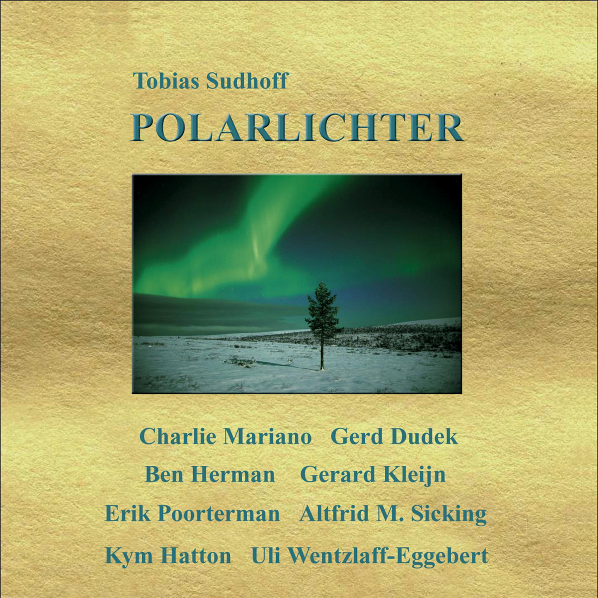 Постер альбома Polarlichter