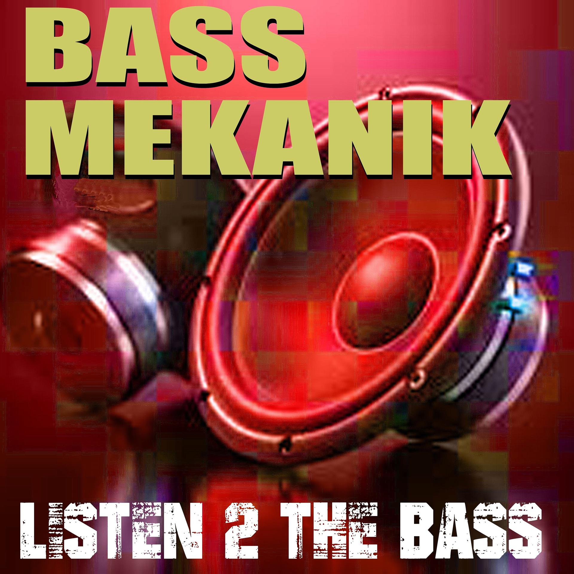 Постер альбома Listen 2 the Bass
