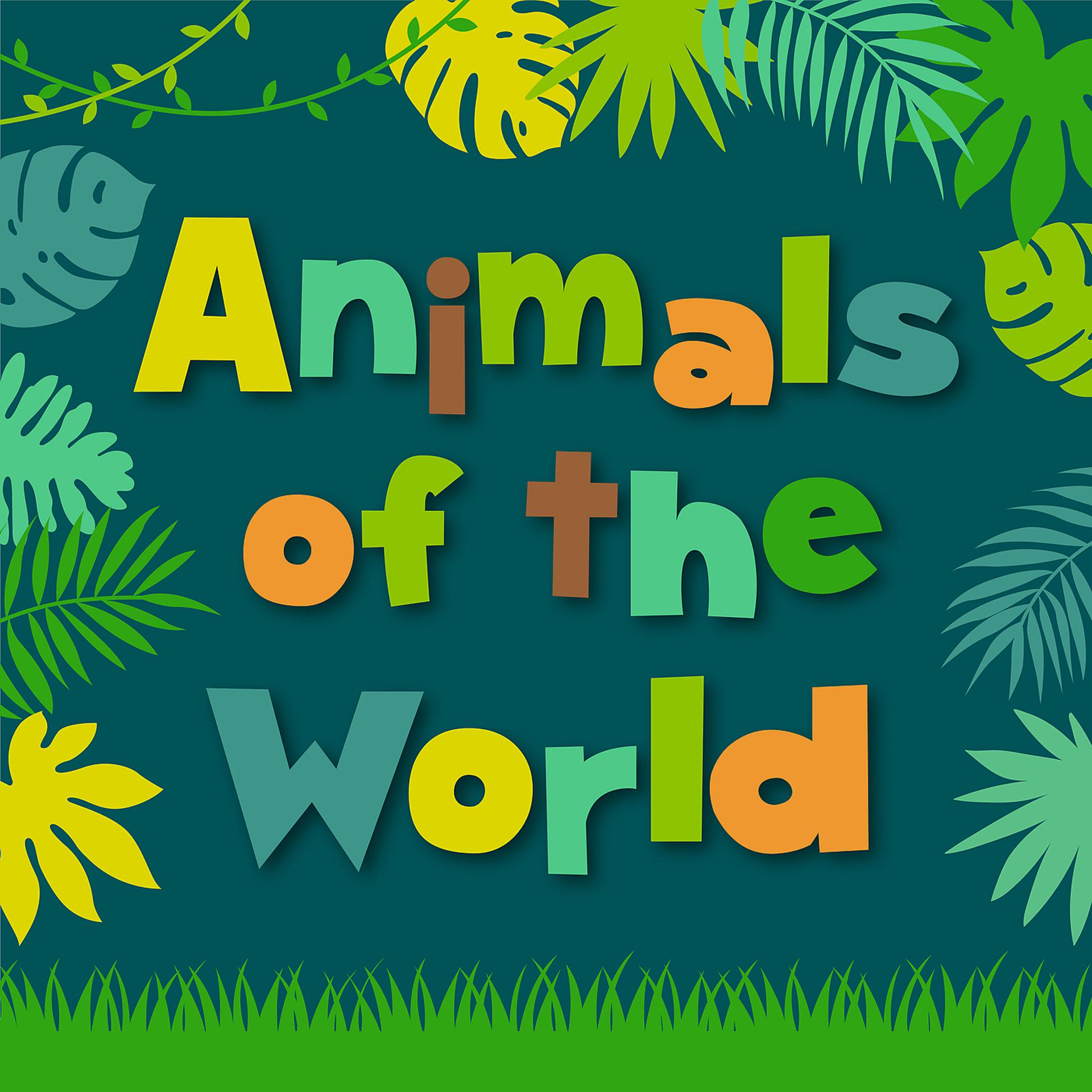 Постер альбома Animals of the World