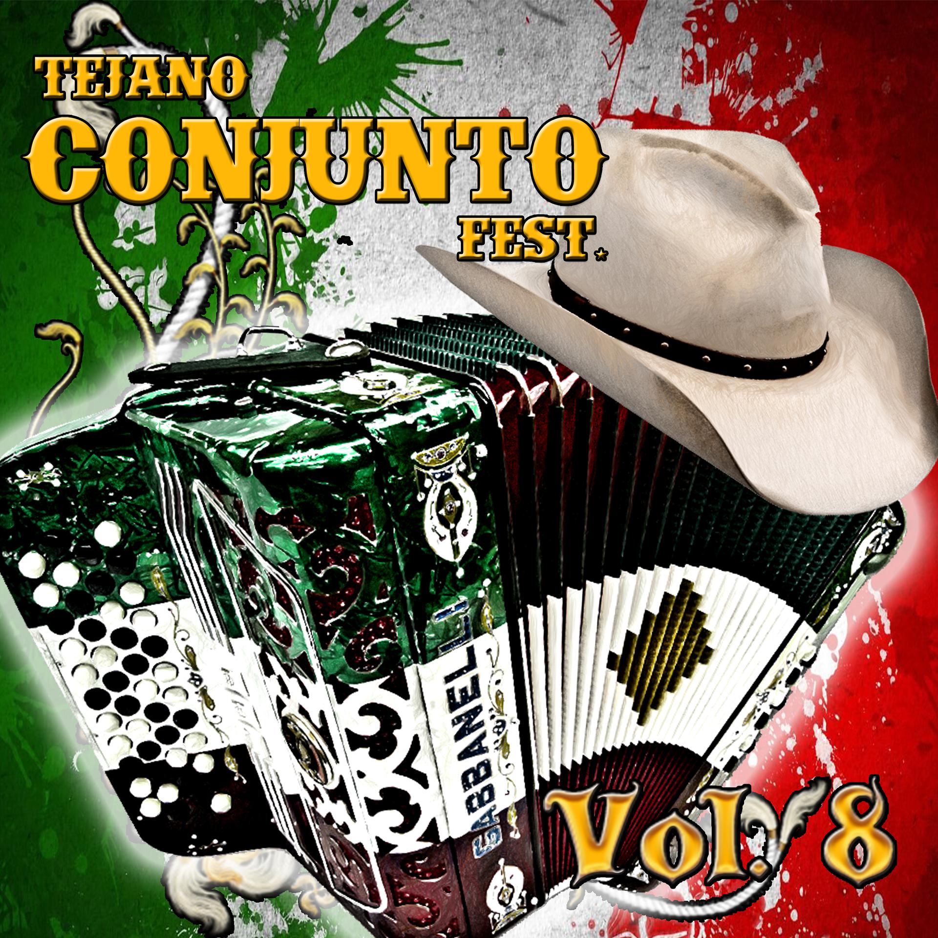 Постер альбома Tejano Conjunto Festival, Vol. 8