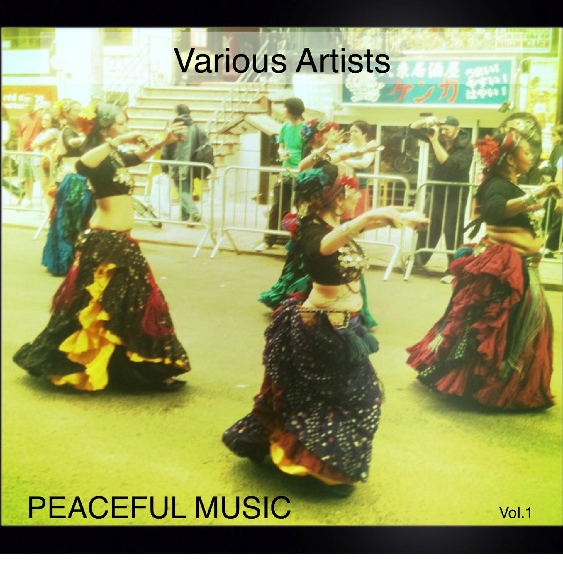 Постер альбома Peaceful Music Vol.1