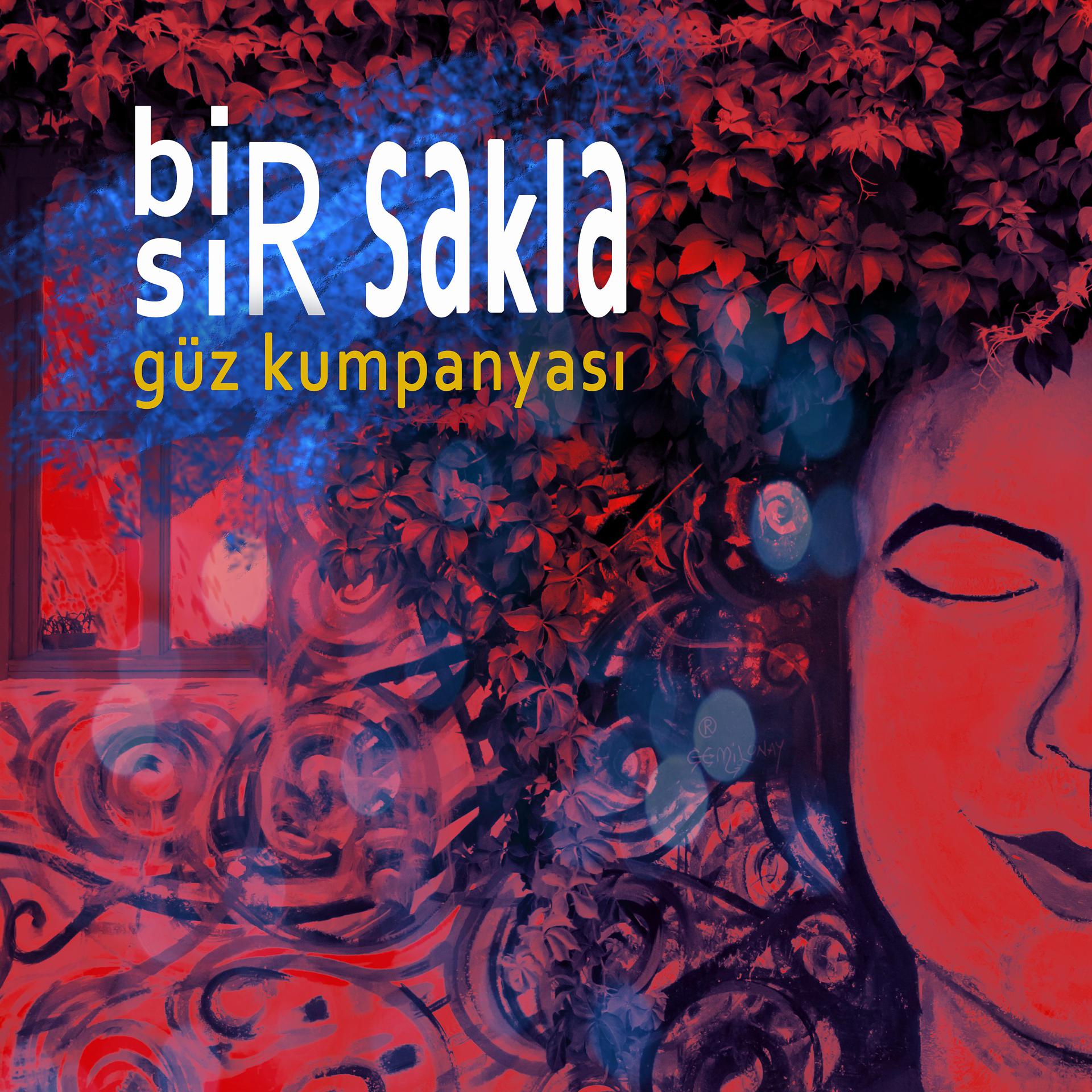 Постер альбома Bir Sır Sakla