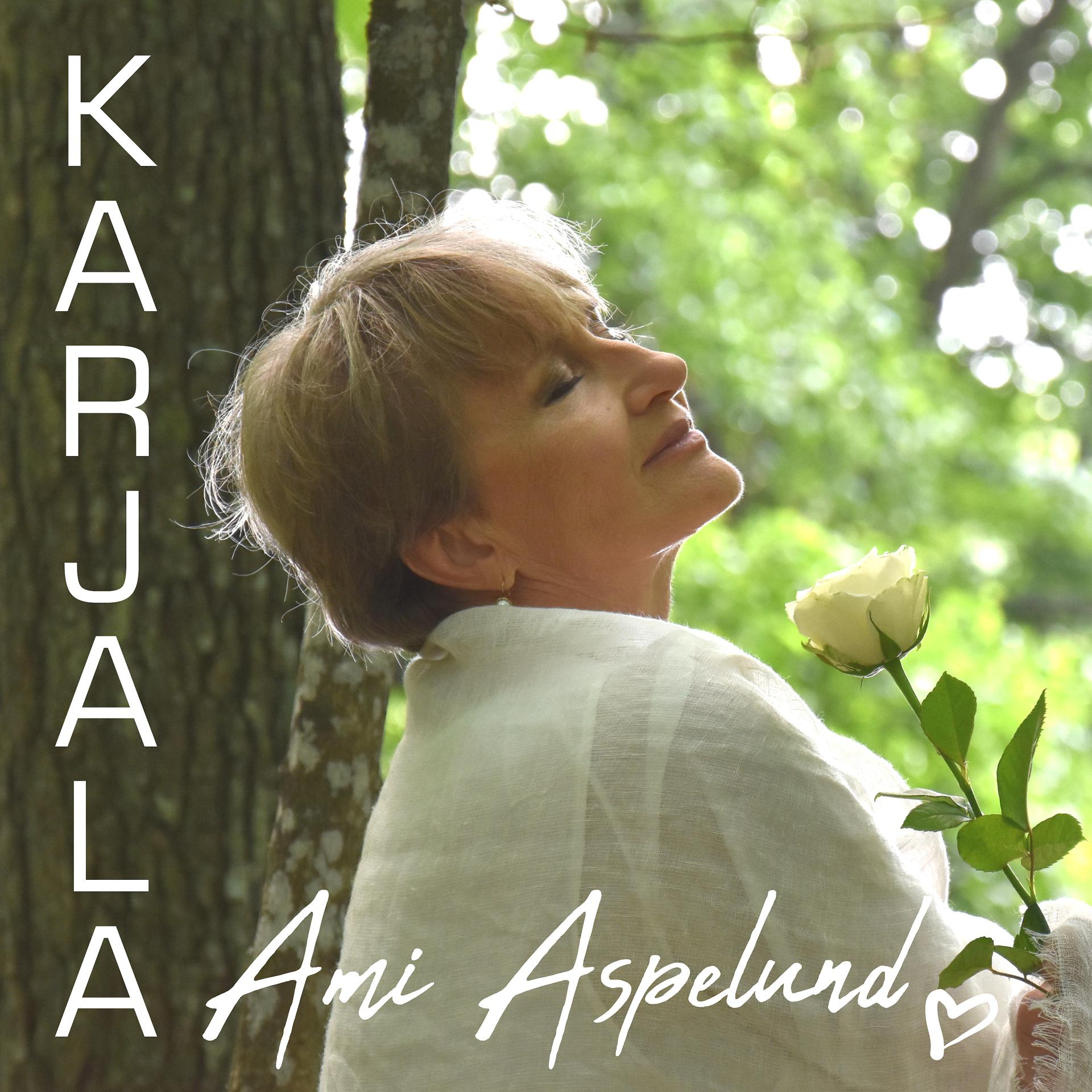 Постер альбома Karjala