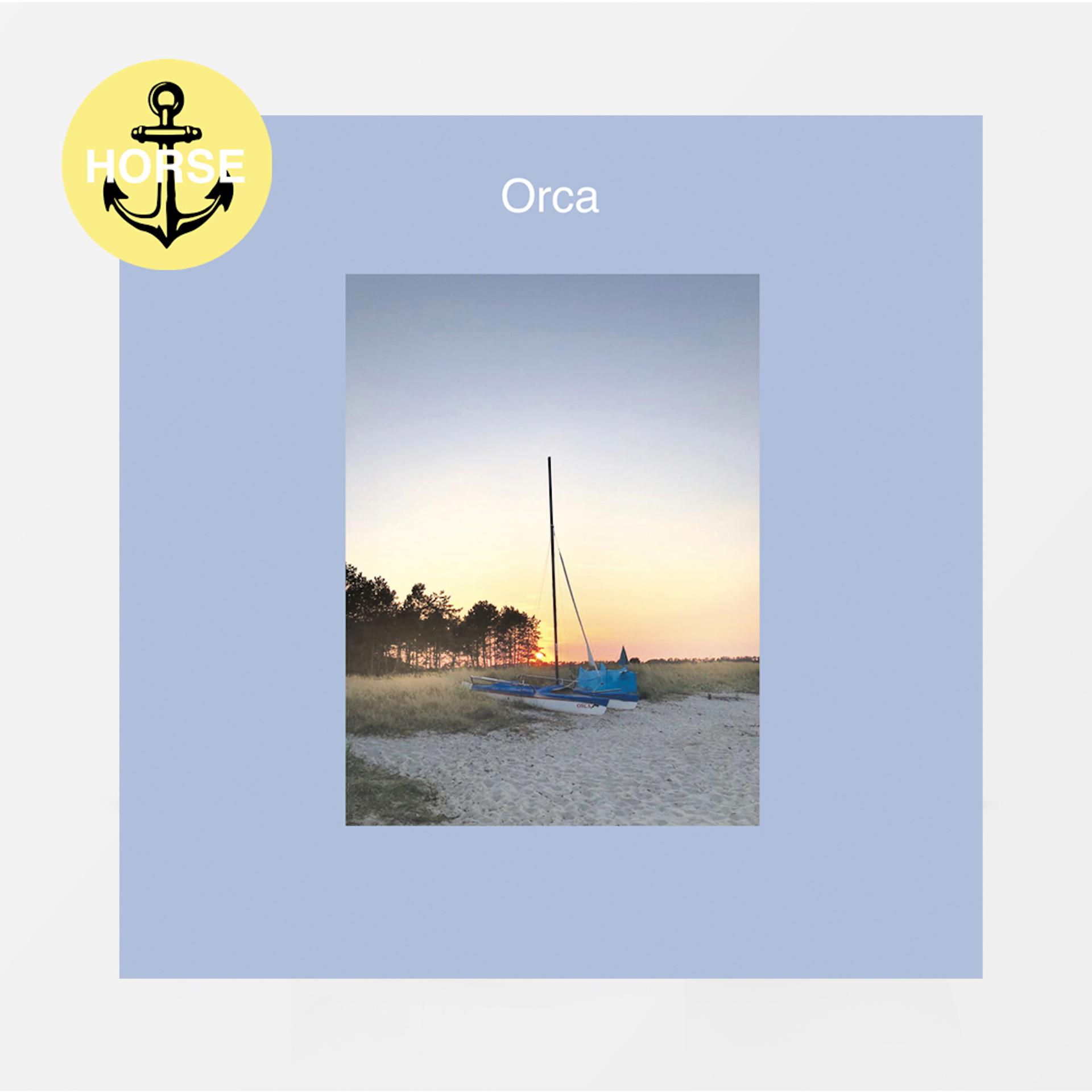Постер альбома Orca