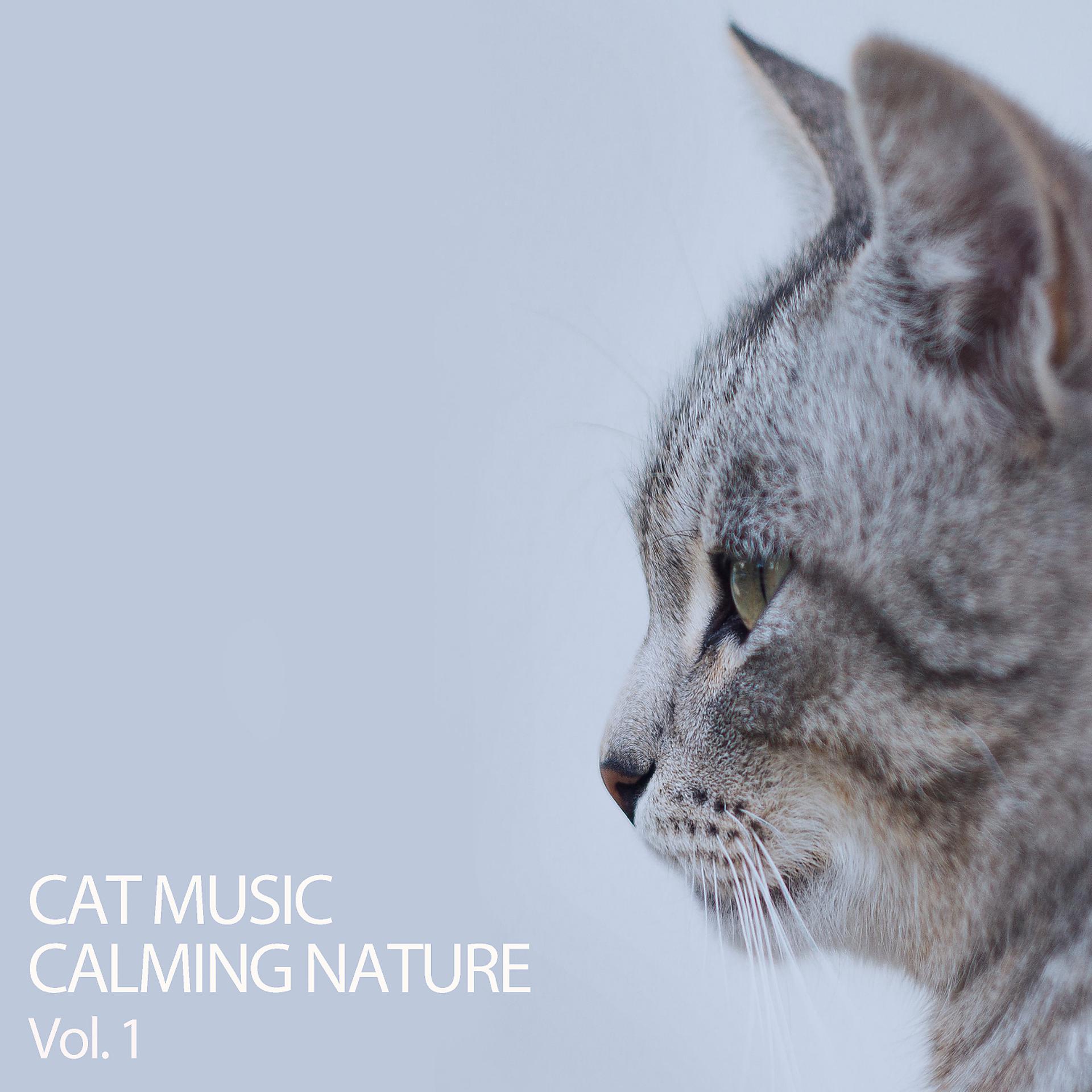 Постер альбома Cat Music Calming Nature Vol. 1