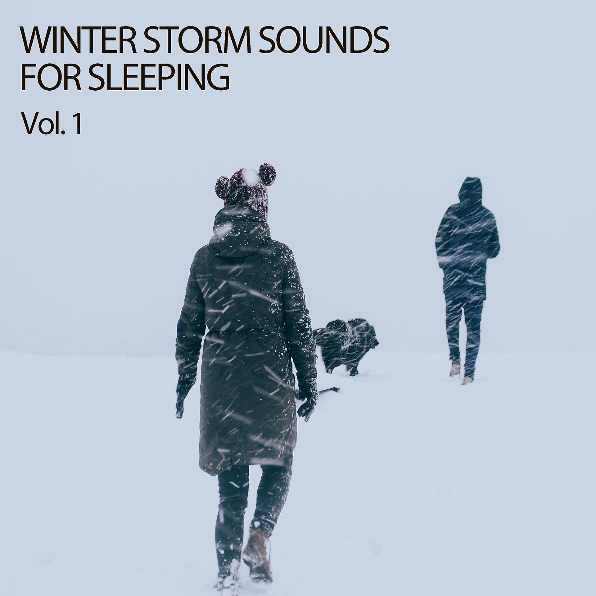 Постер альбома Winter Storm Sounds For Sleeping Vol. 1