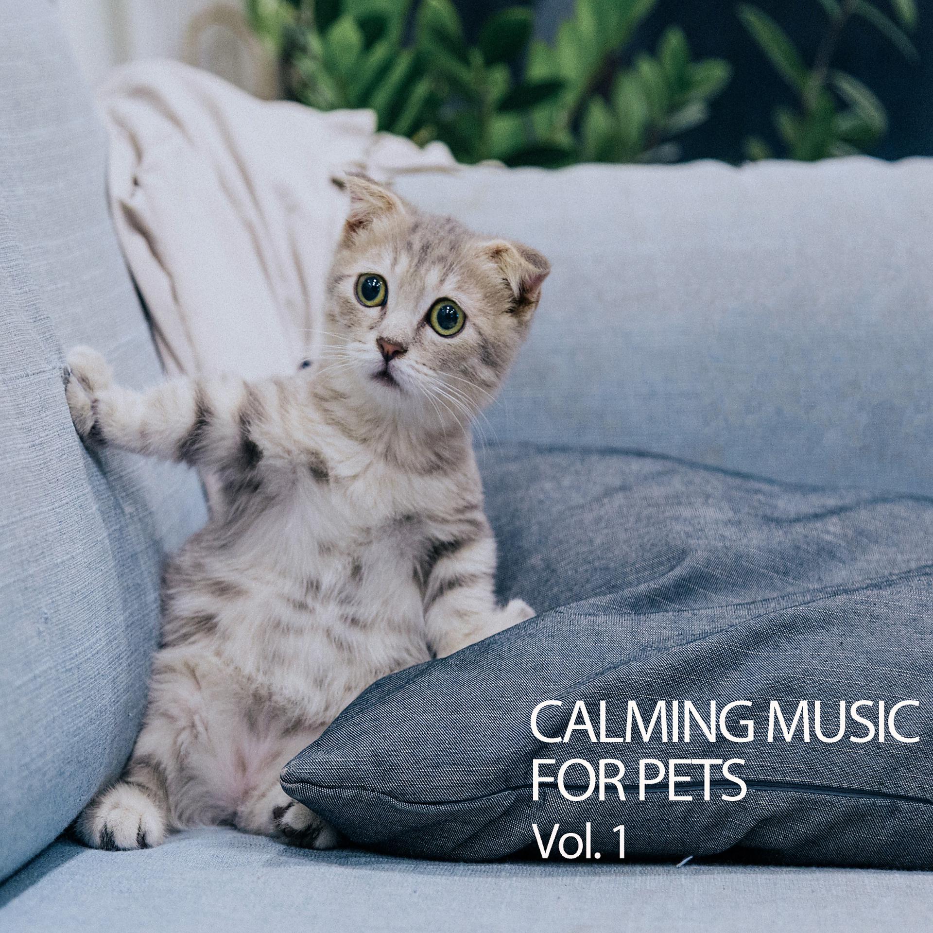 Постер альбома Calming Music For Pets Vol. 1