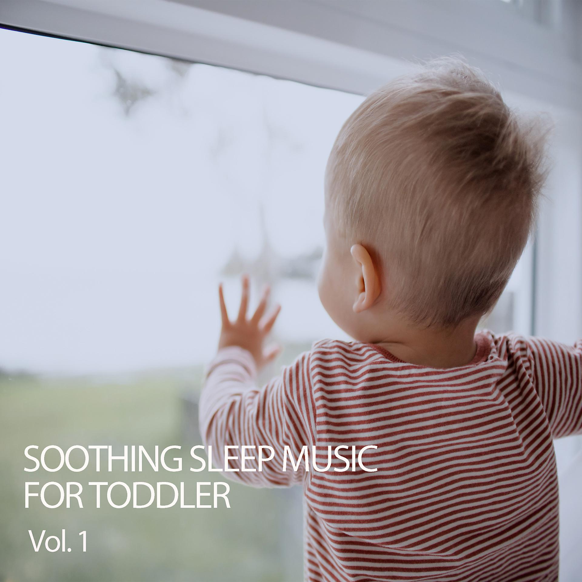 Постер альбома Soothing Sleep Music For Toddler Vol. 1
