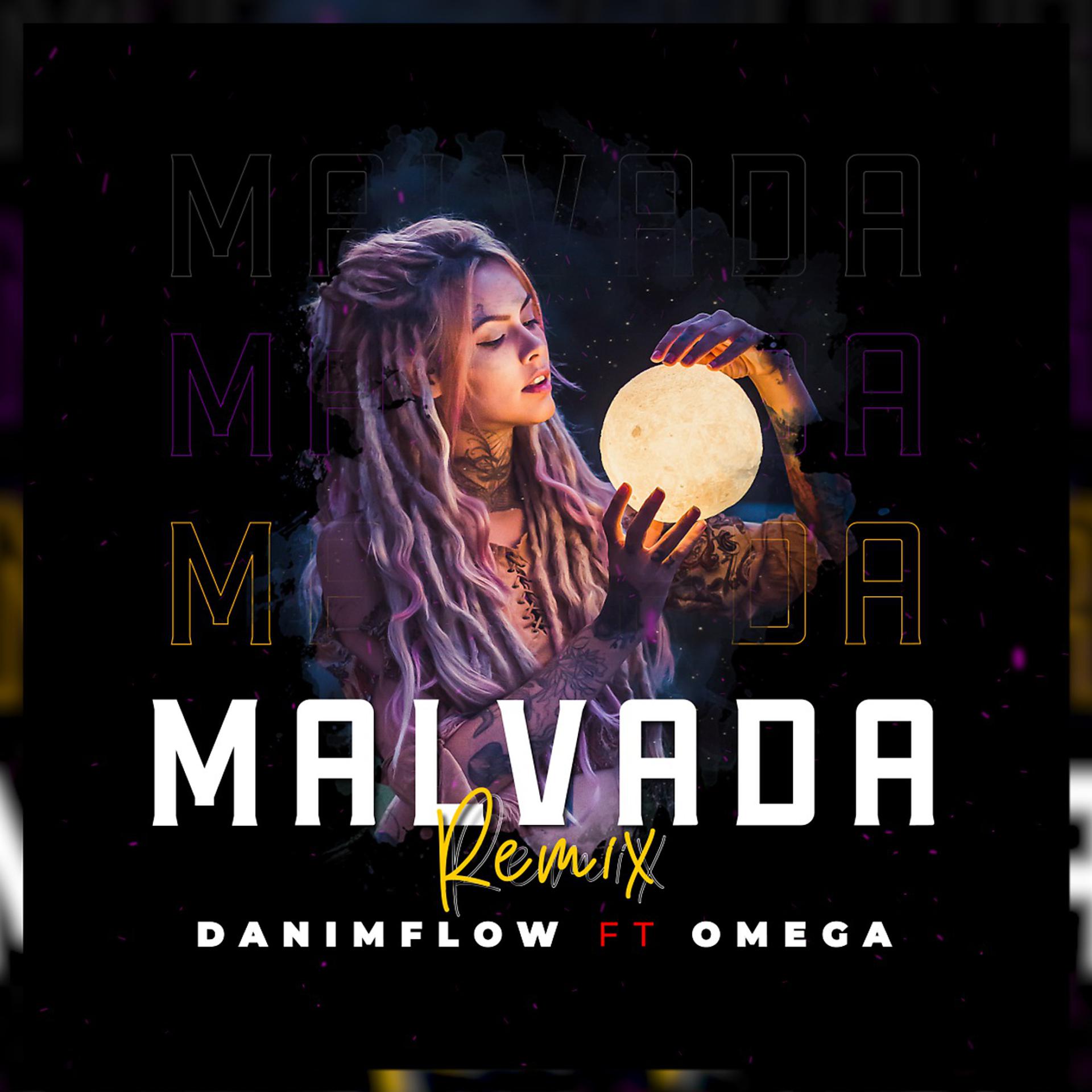Постер альбома Malvada Remix