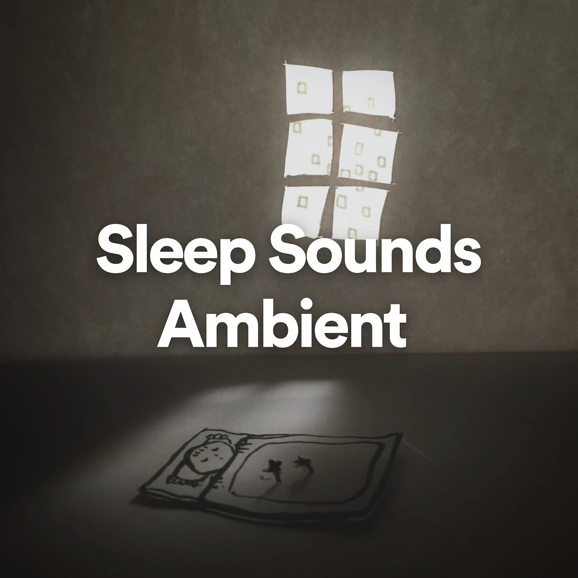 Постер альбома Sleep Sounds Ambient