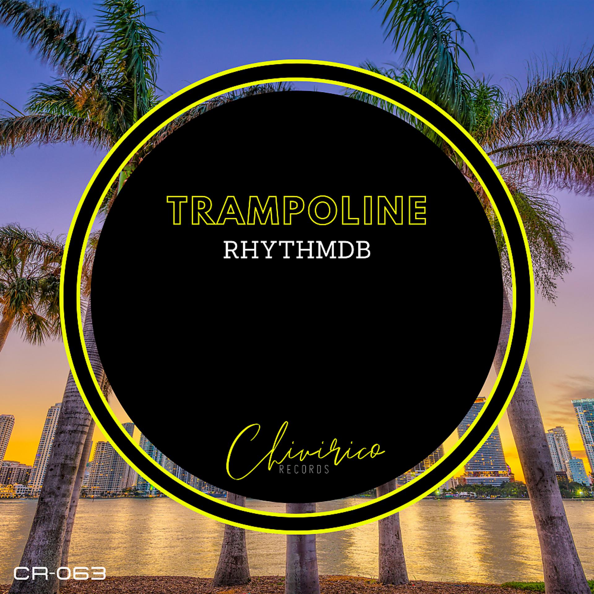 Постер альбома Trampoline