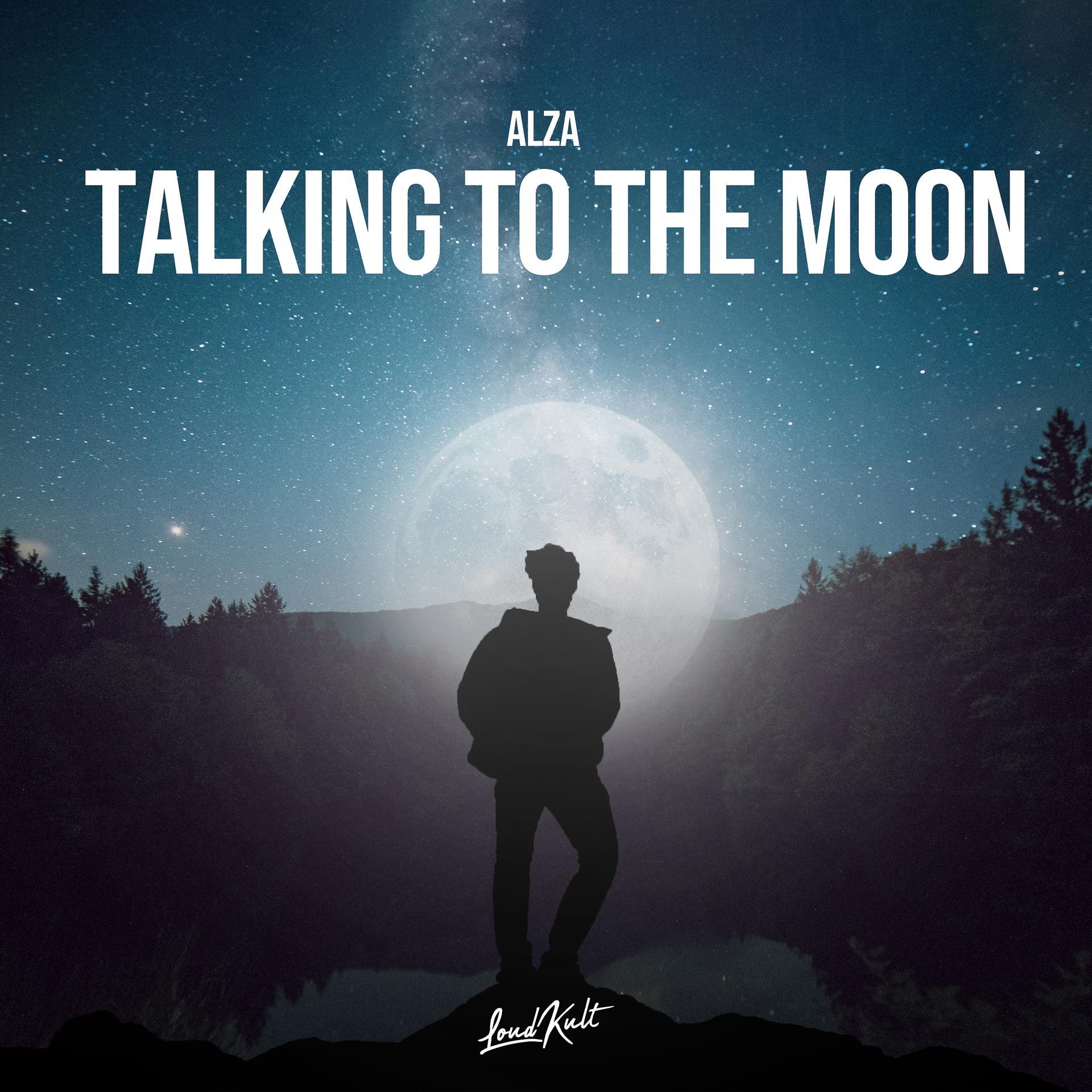 Постер альбома Talking to the Moon