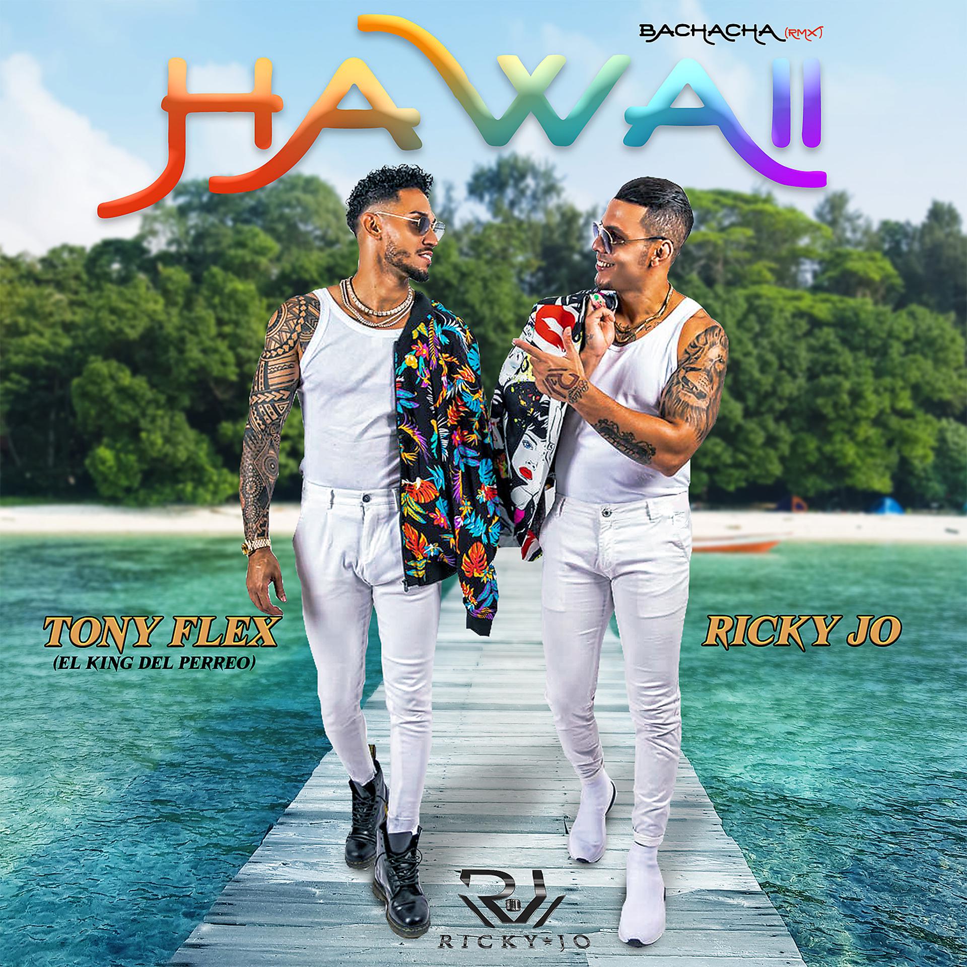 Постер альбома Hawaii (BaChaCha rmx)
