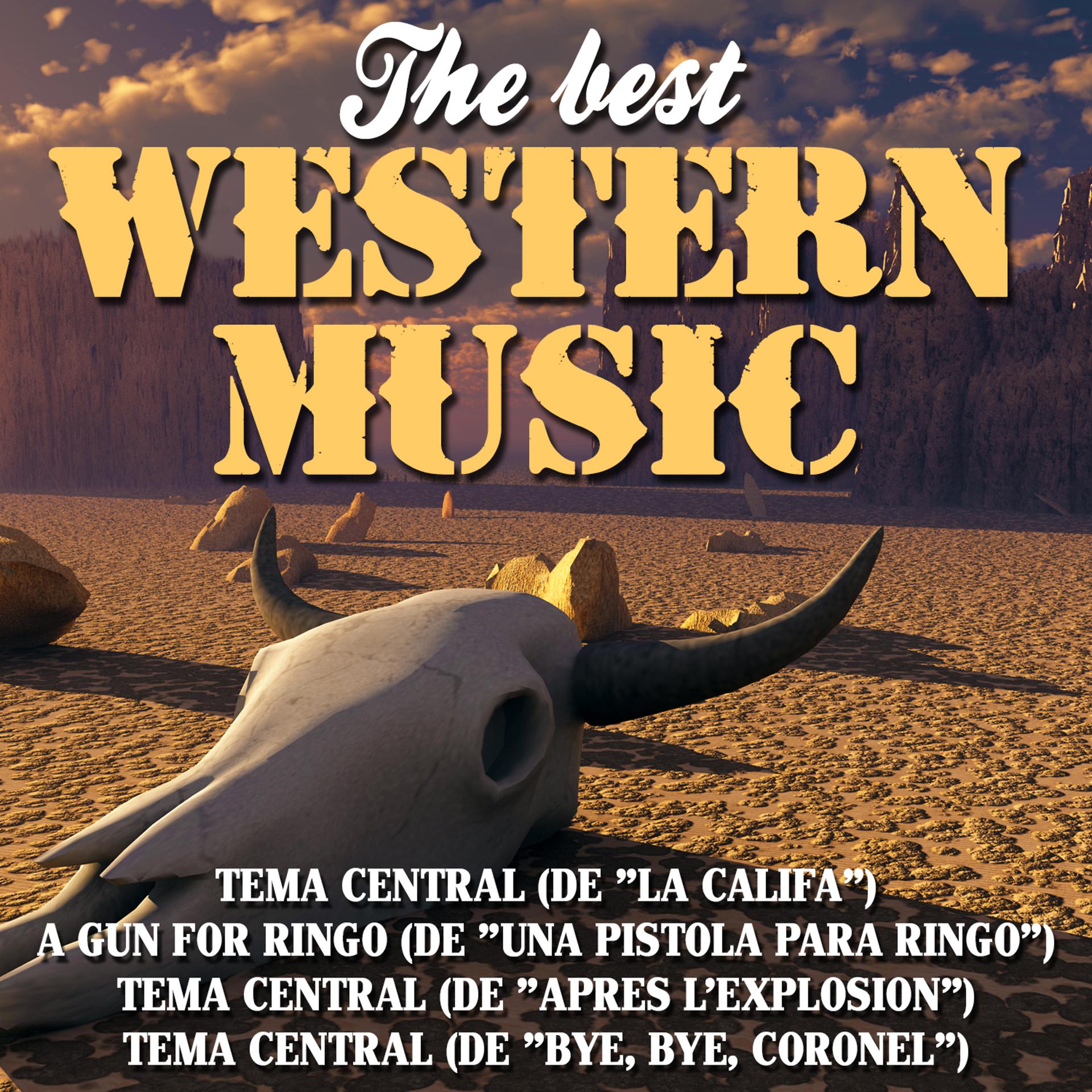 Постер альбома The Best Western Music