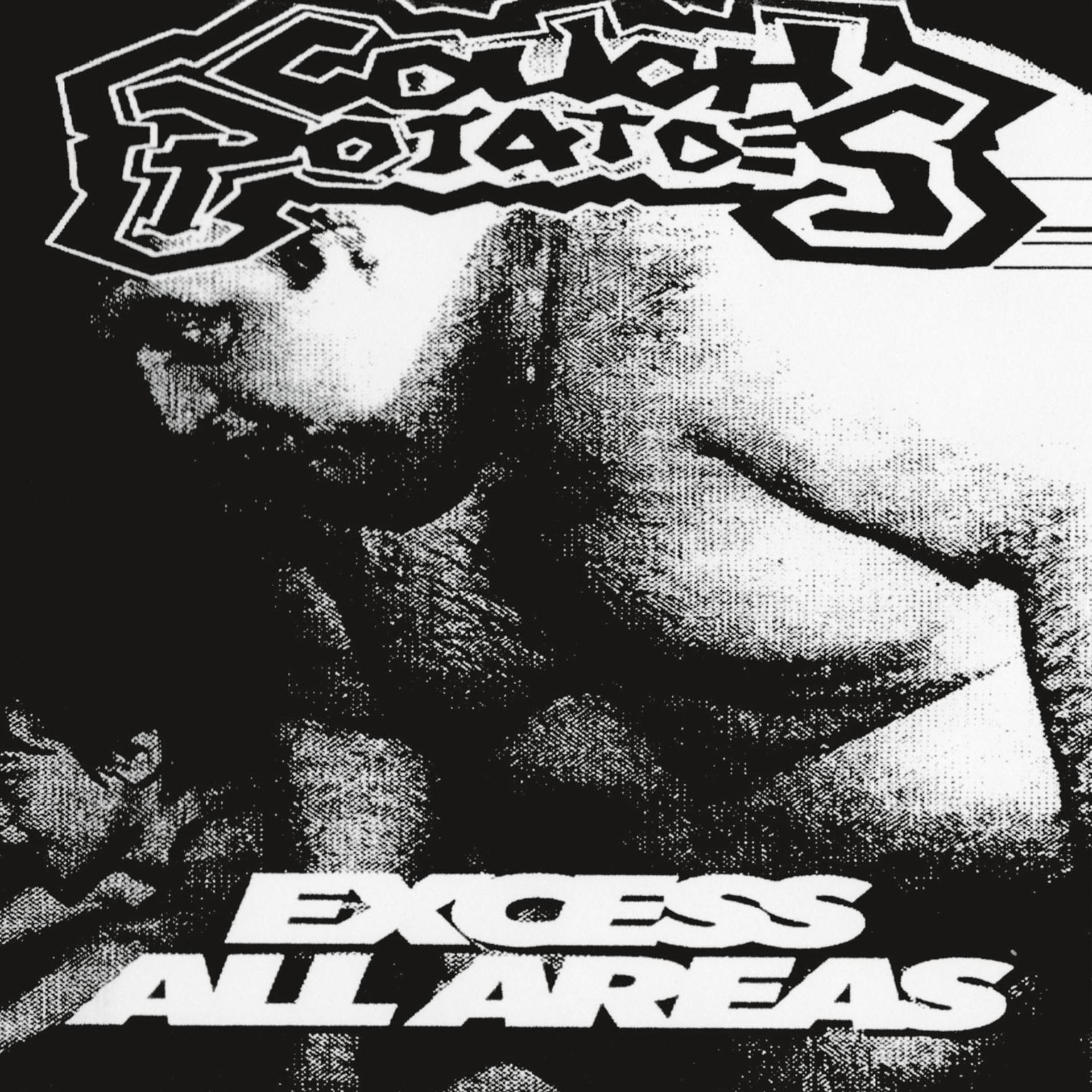 Постер альбома Excess All Areas
